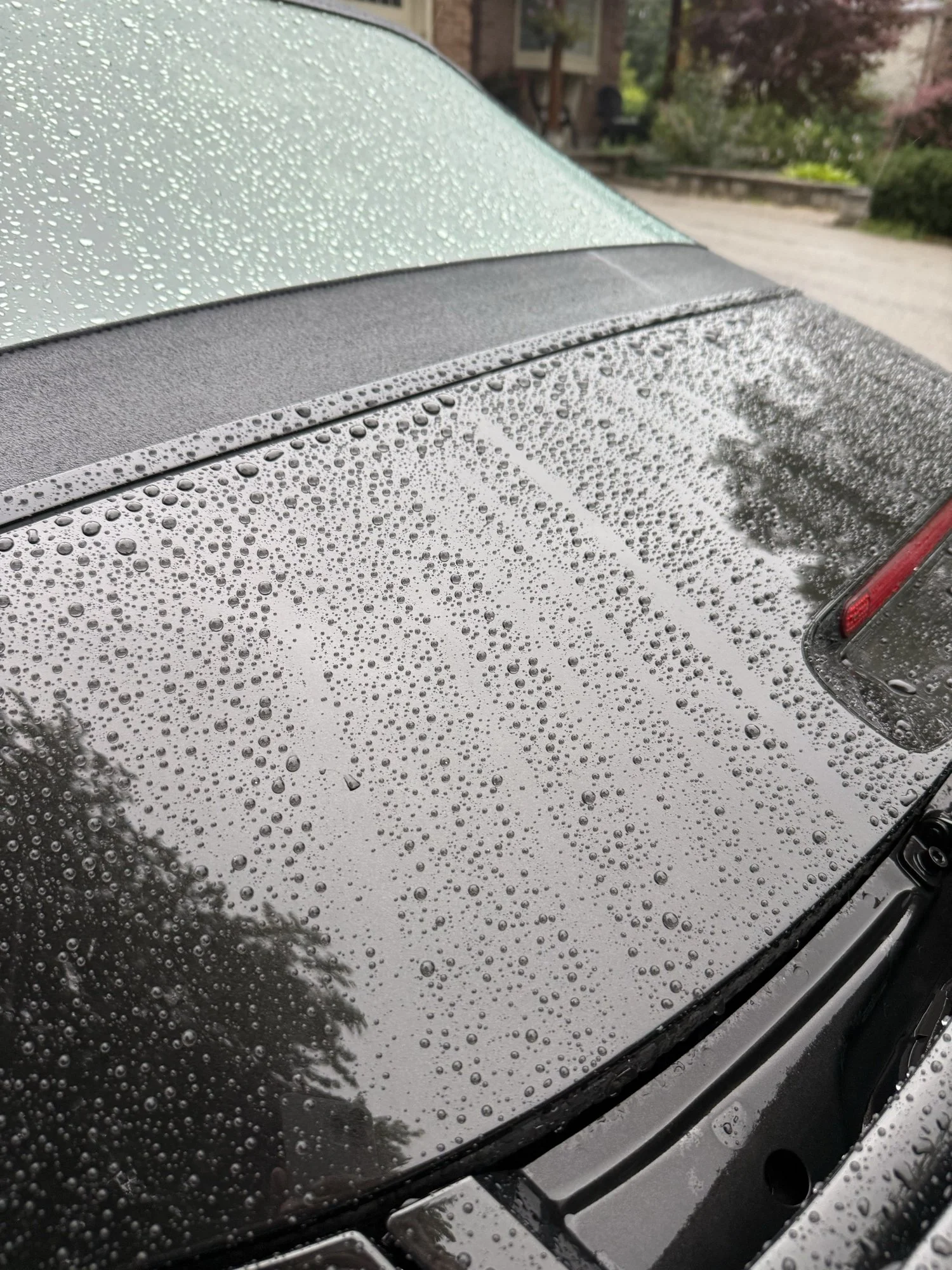 Close-up of water droplets across a black Porsche rear deck