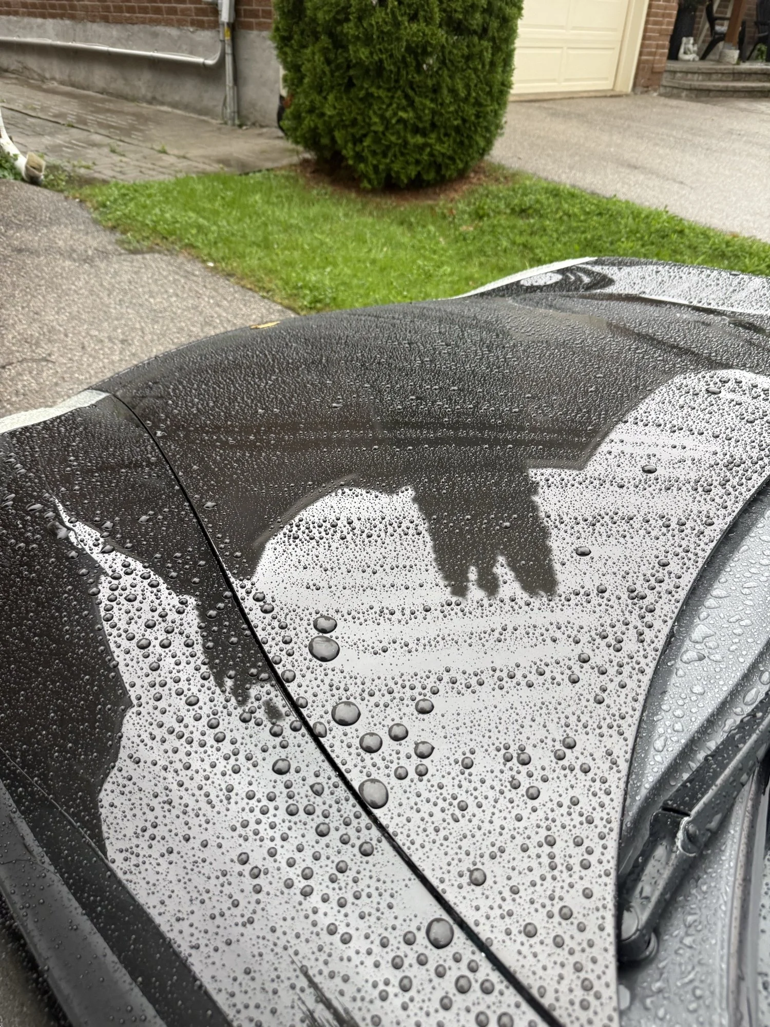 Water droplets on black paint beside the convertible roof