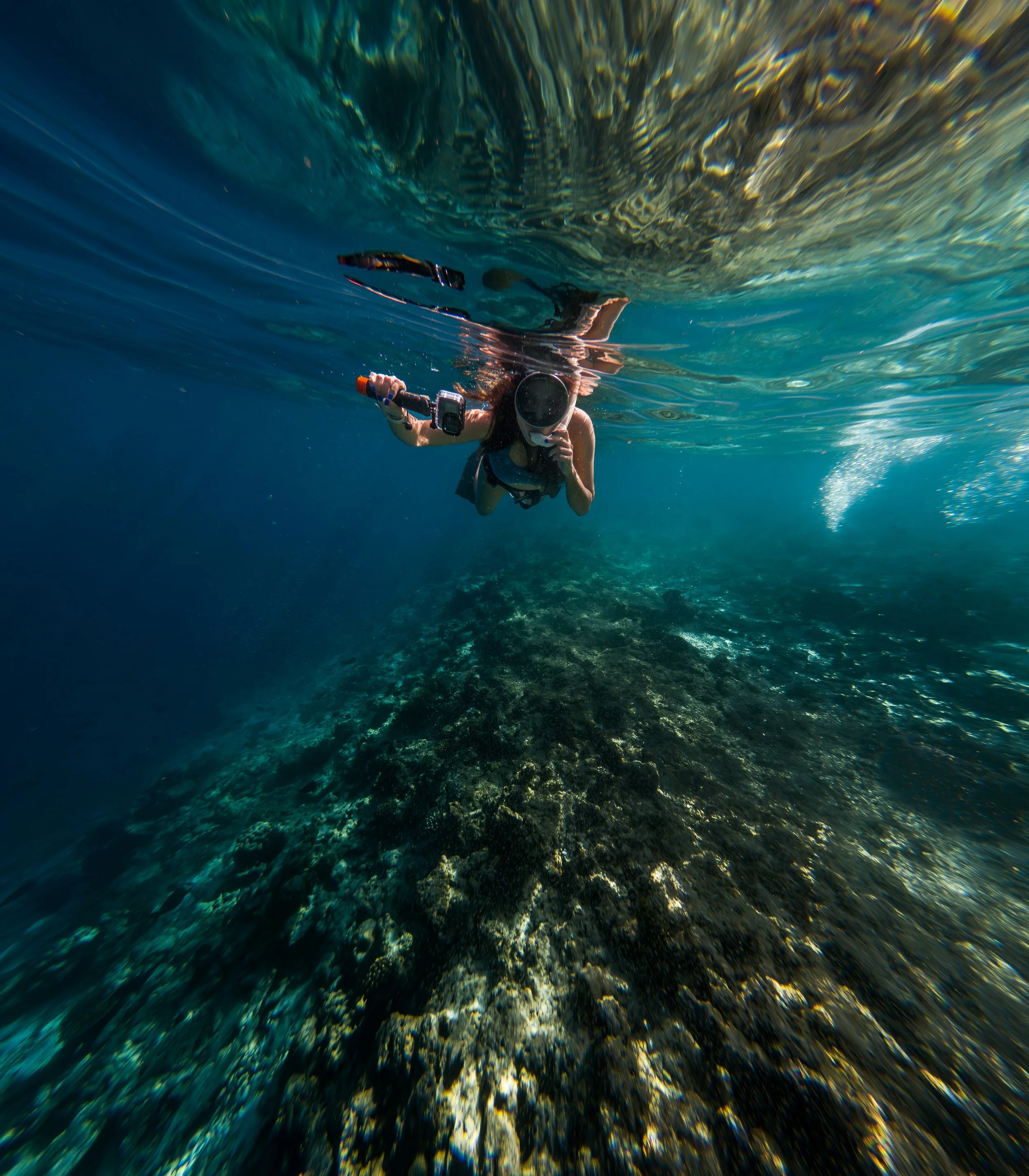 THE REEF