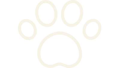 pet friendly
