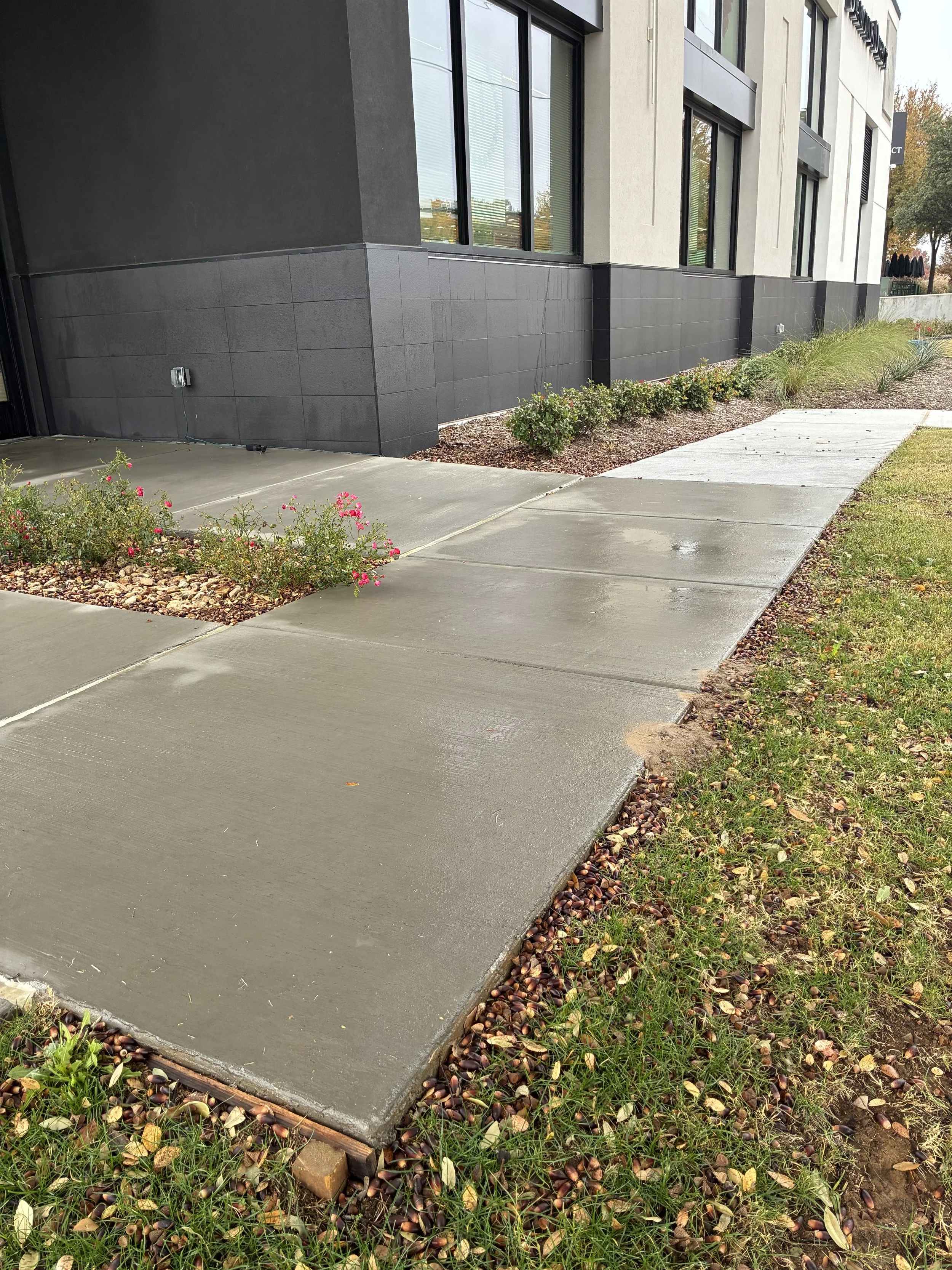 Newly poured concrete sidewalk along the side of a building with black and white exterior walls. Small plants and bushes are along the edge, with fallen leaves scattered on the grass and sidewalk.