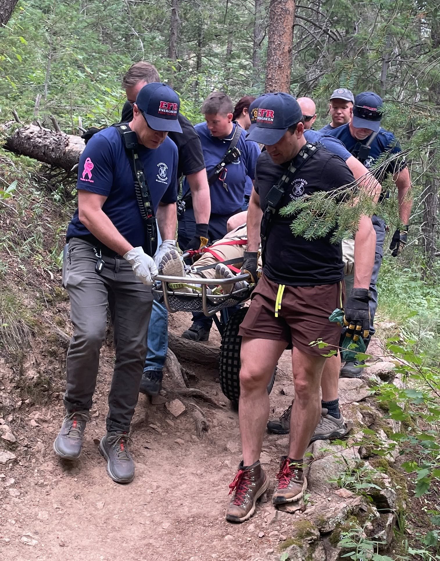 Group of rescue workers transporting a person on a stretcher through a forest trail.