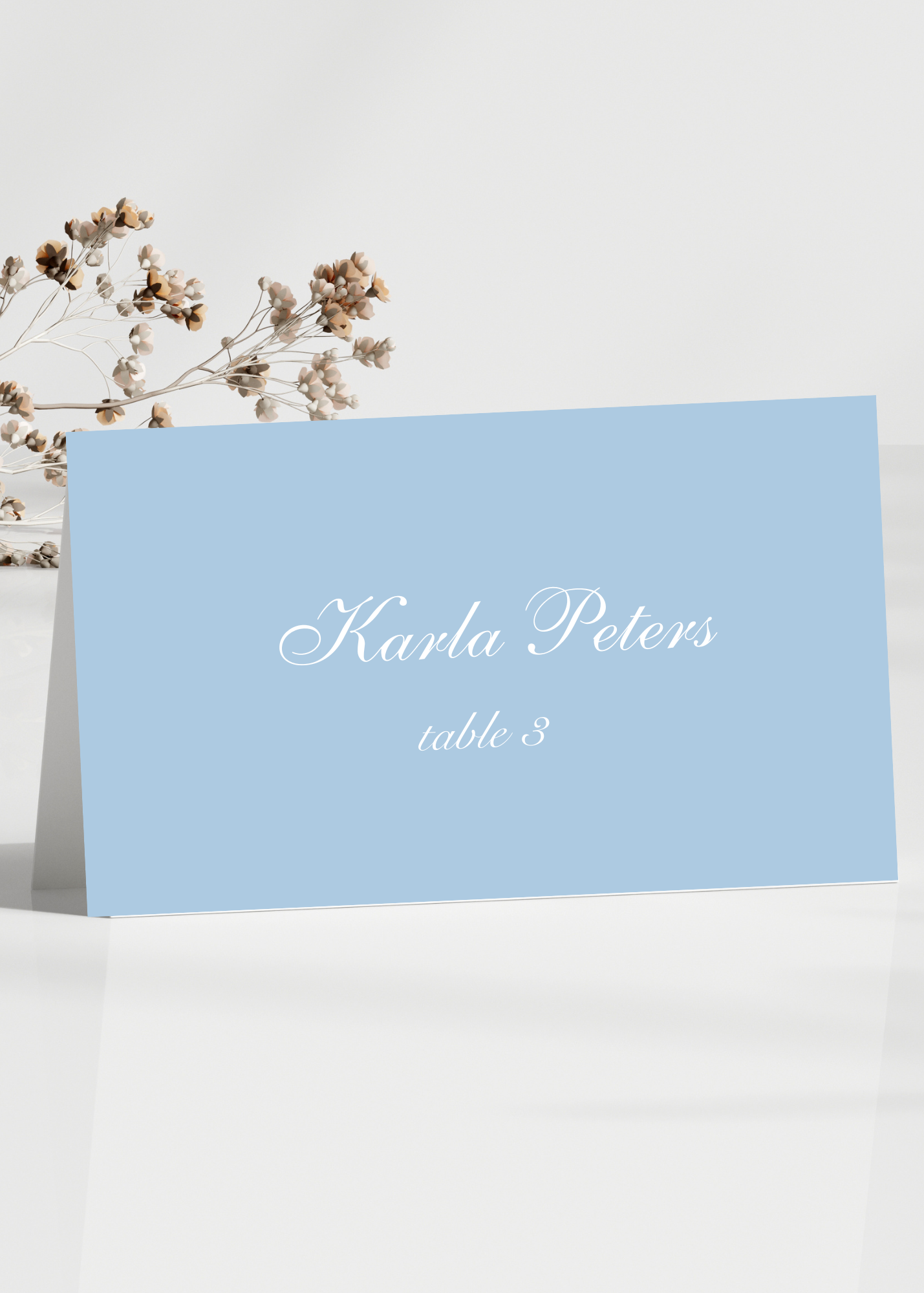 lizzie collection placecard.png