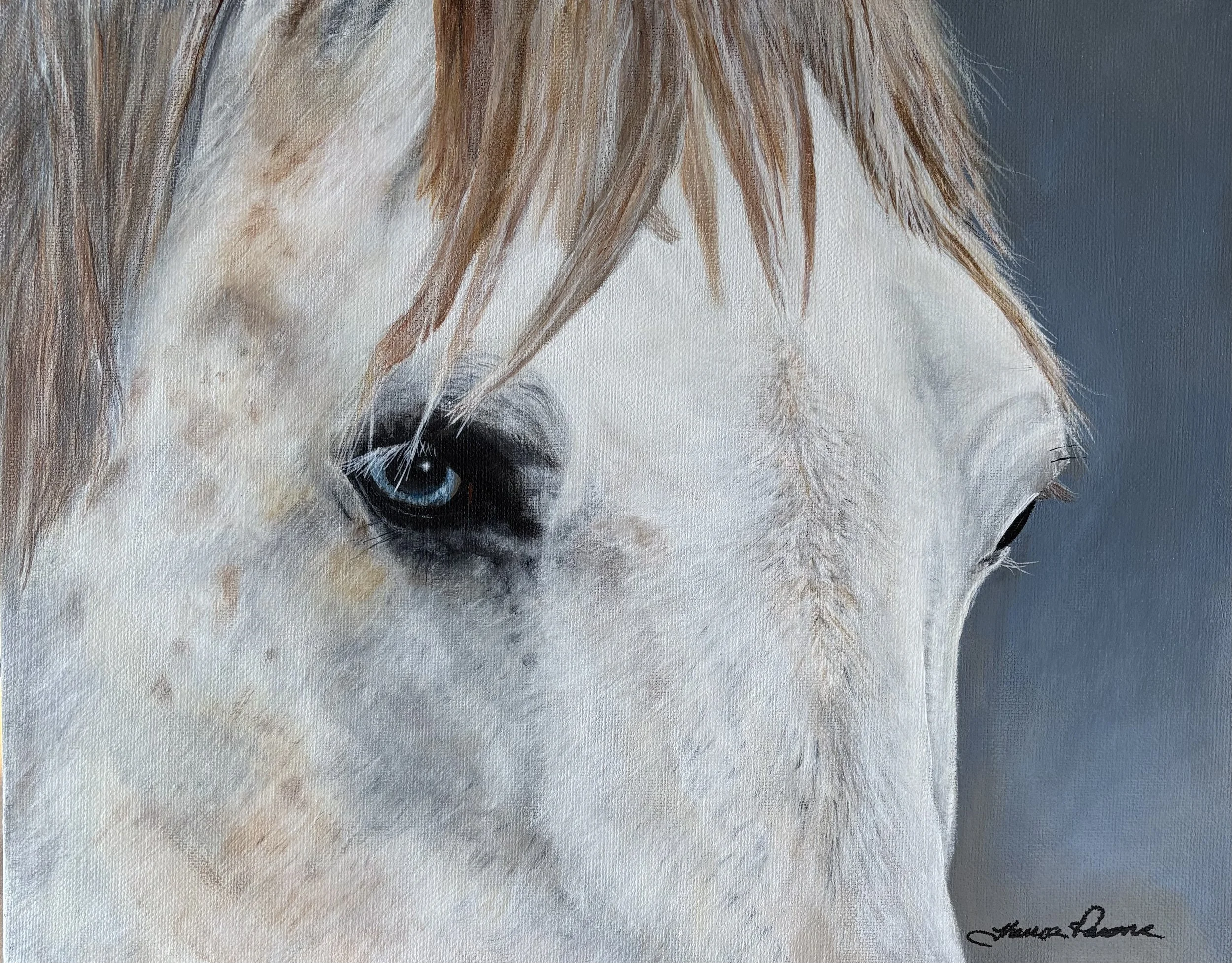 Spirit 
11 × 14 inches 
Acrylic on stretched canvas

A quiet, intimate study of equine grace, captured through soft light and delicate detail.
