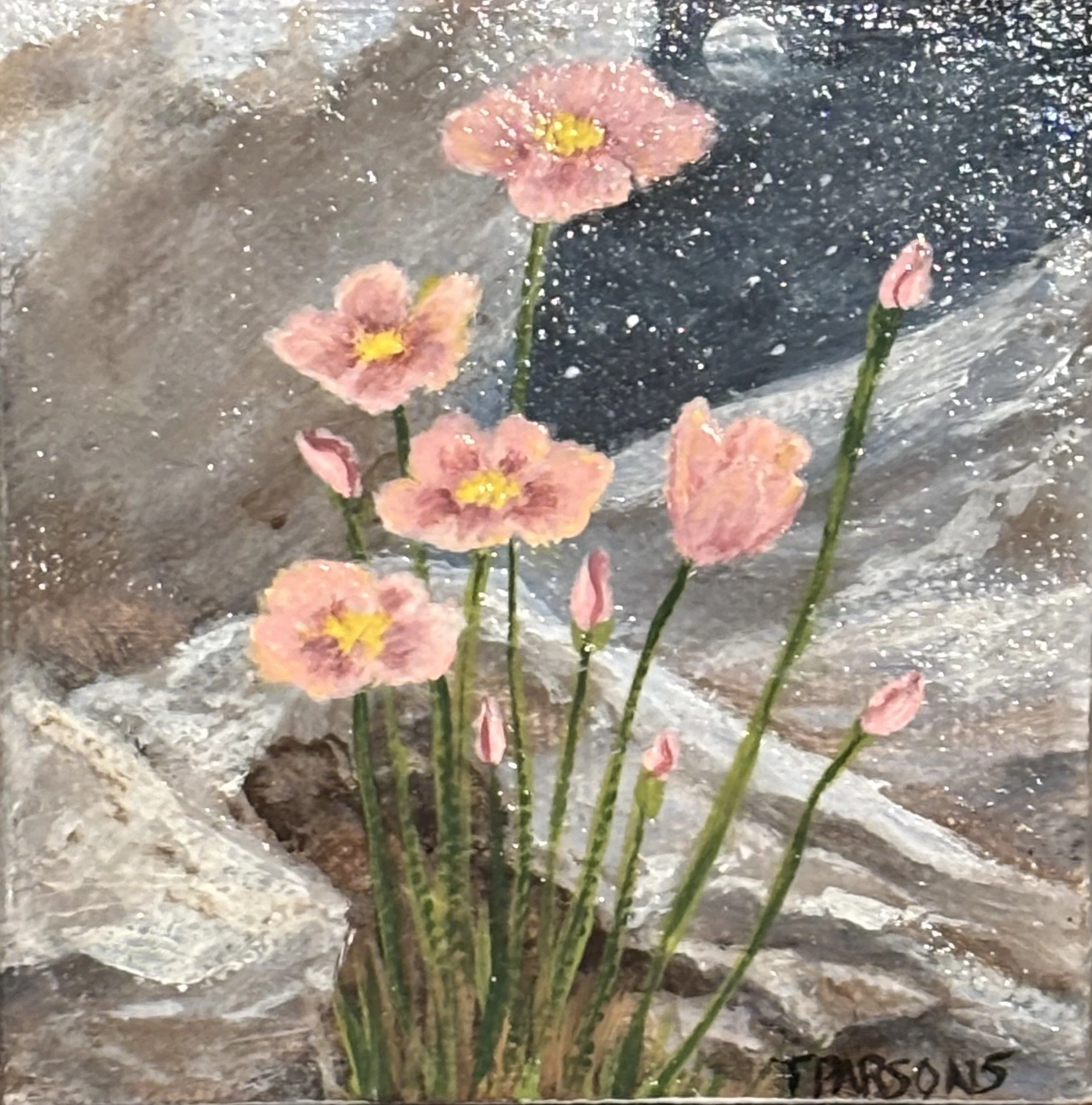 A painting titled "Hidden Treasures" has pink flowers with yellow centers growing out of rocky ground. The painting is signed in the bottom right corner by T. Parsons.