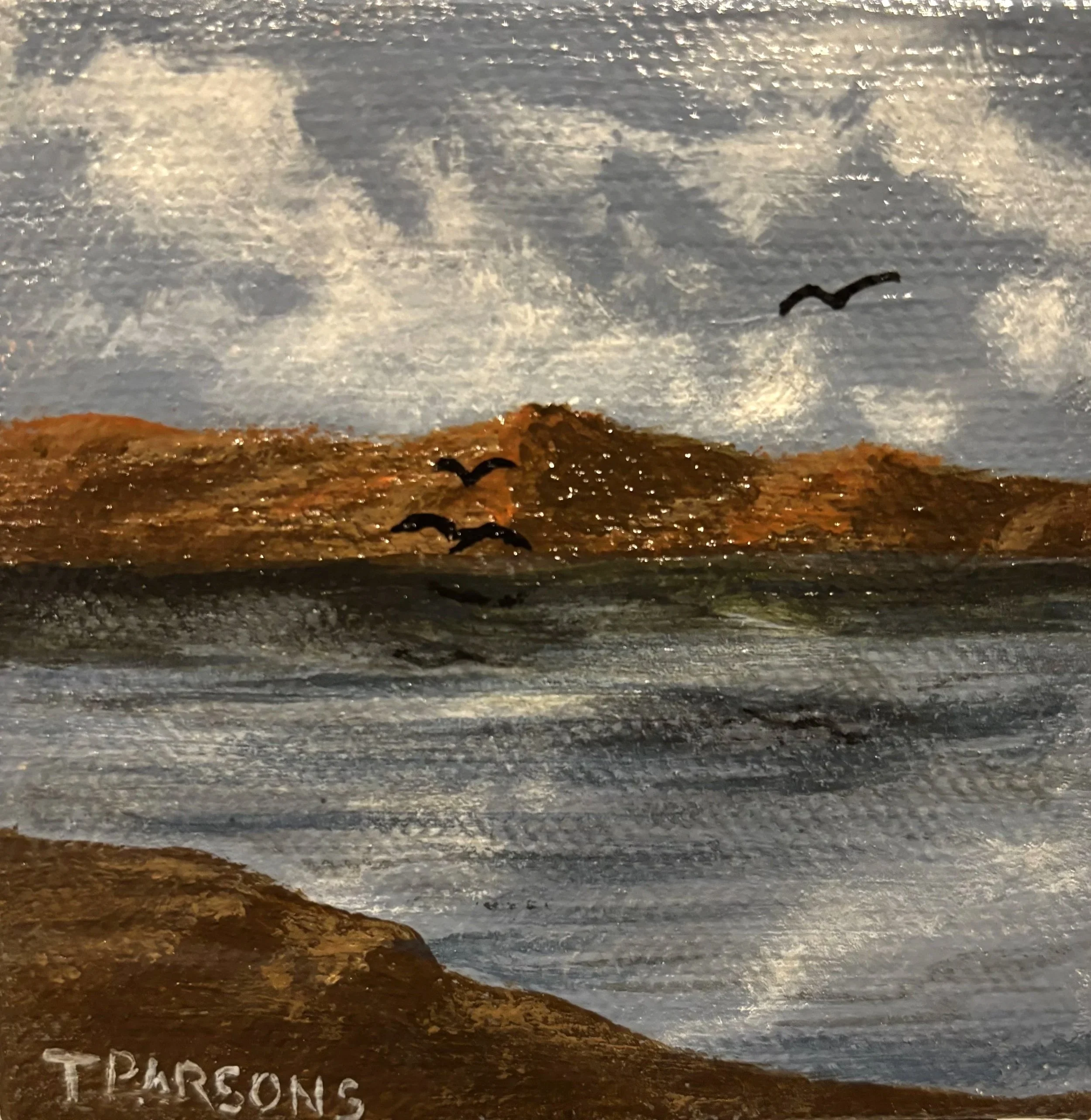 A painting titled "Peaceful Waters" shows layered rocks with colors ranging from white to brown, with the word 'TRASOS' written in white at the bottom left corner. The painting is signed in the bottom right corner by T. Parsons.