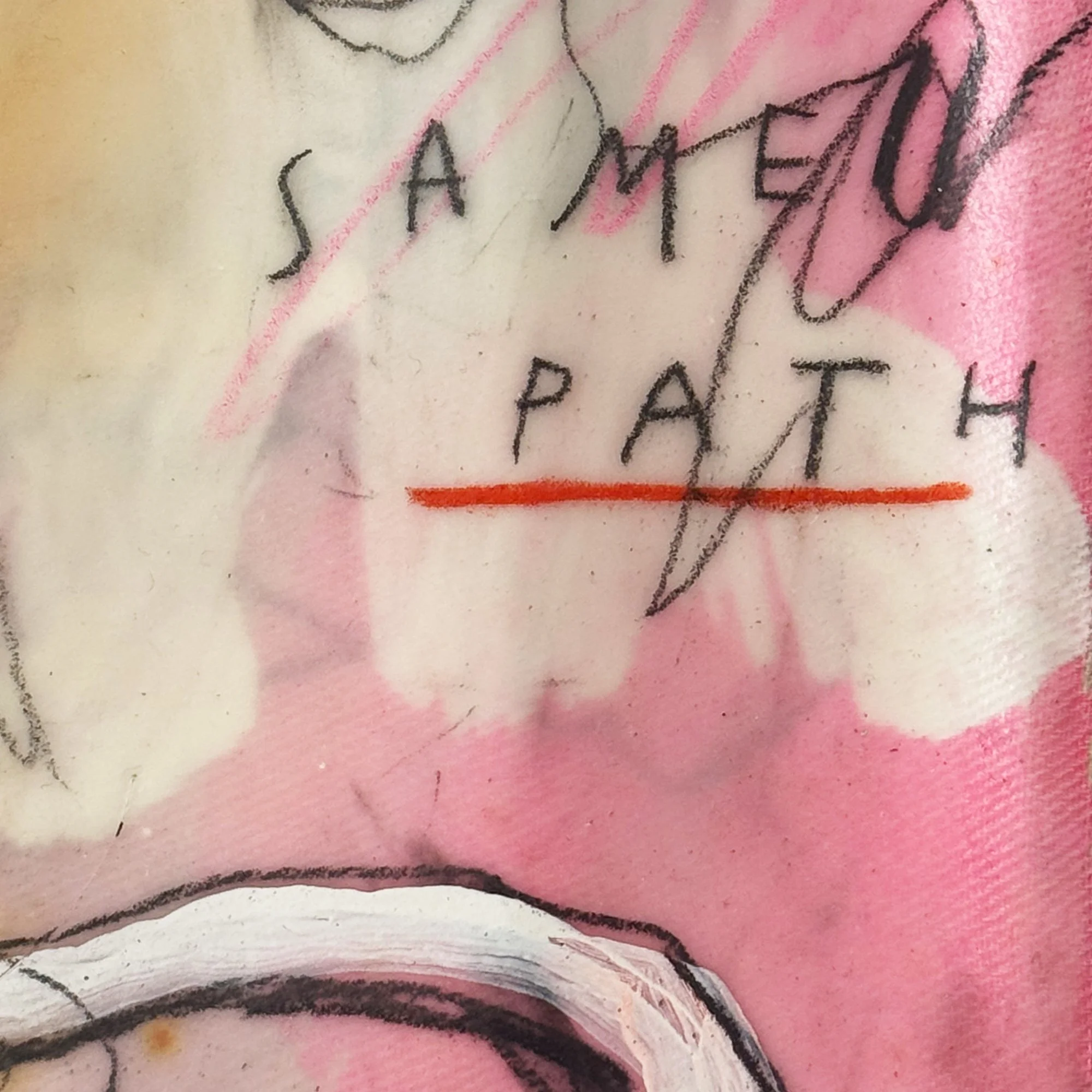 Same Path_CAT04.jpg