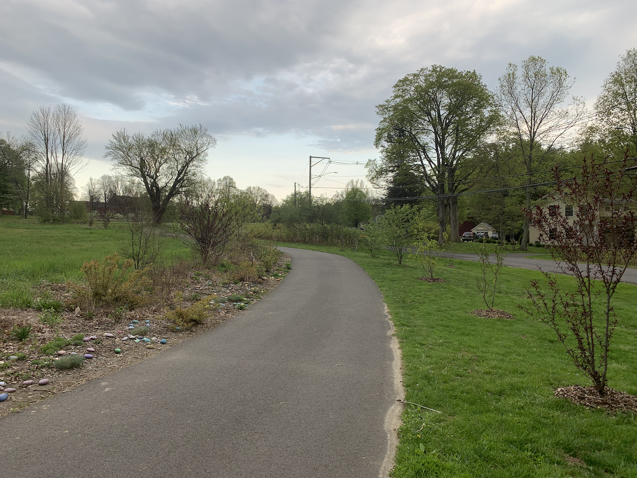 The trail in early spring, 2020