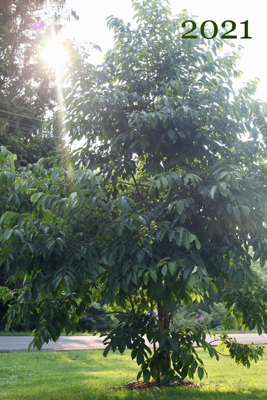 Image 22.png