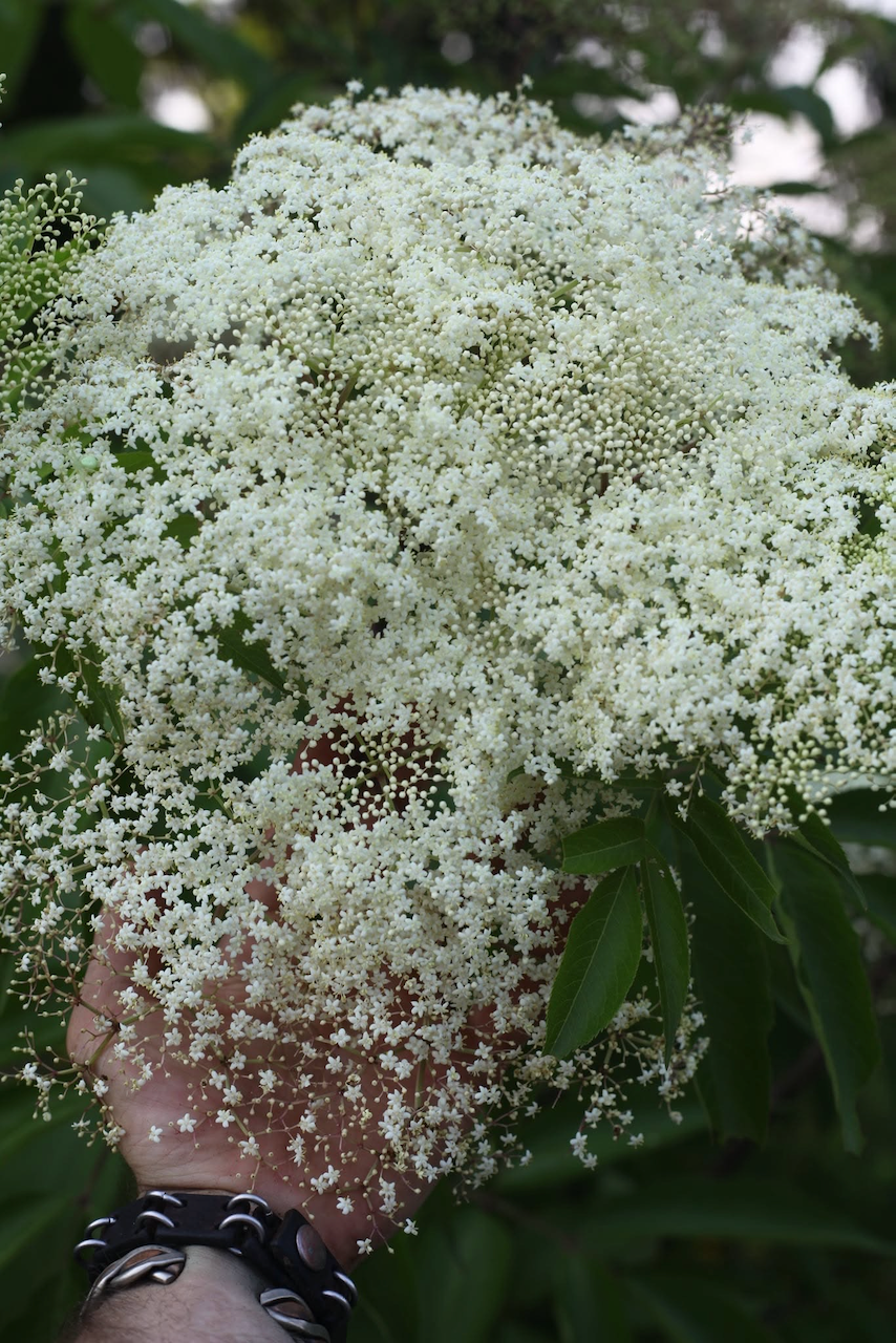 Image 20.png