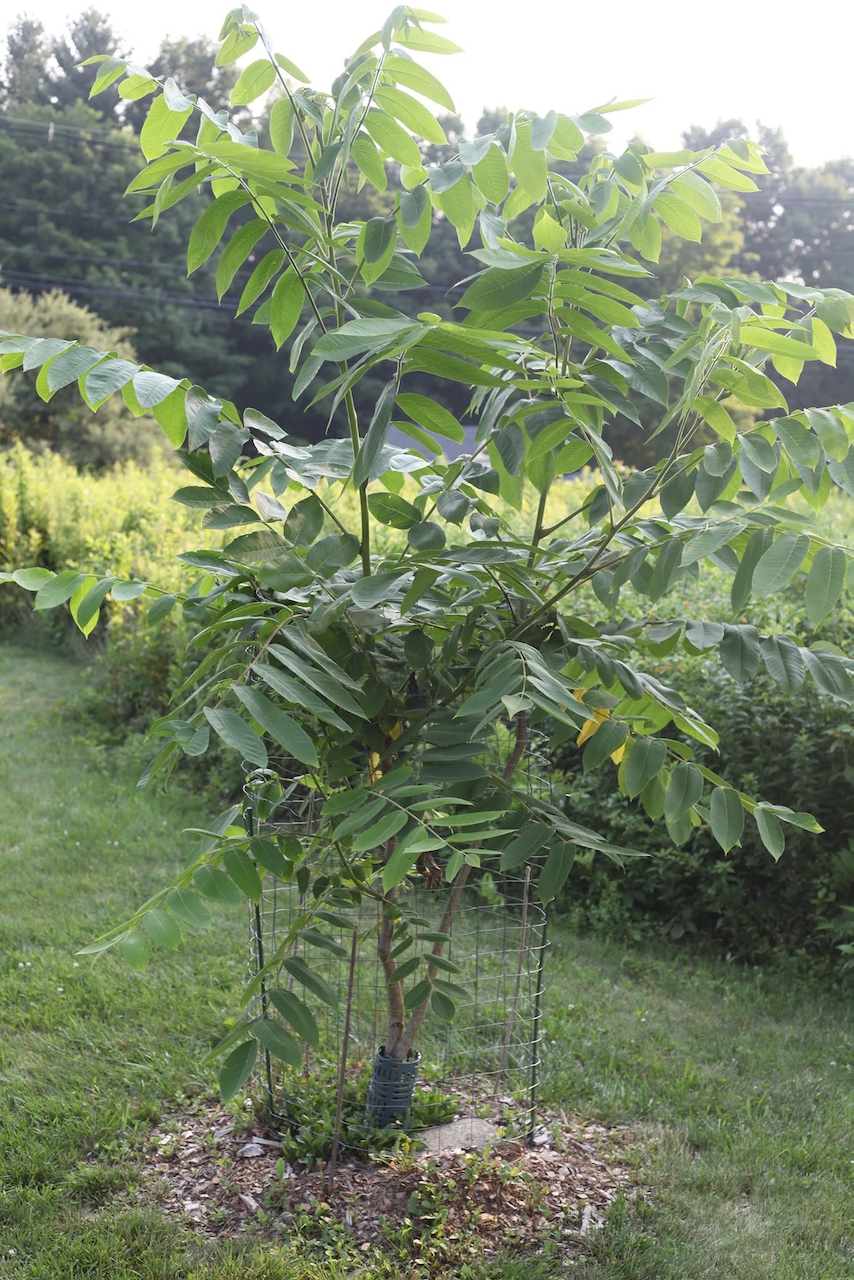 Image 17.png