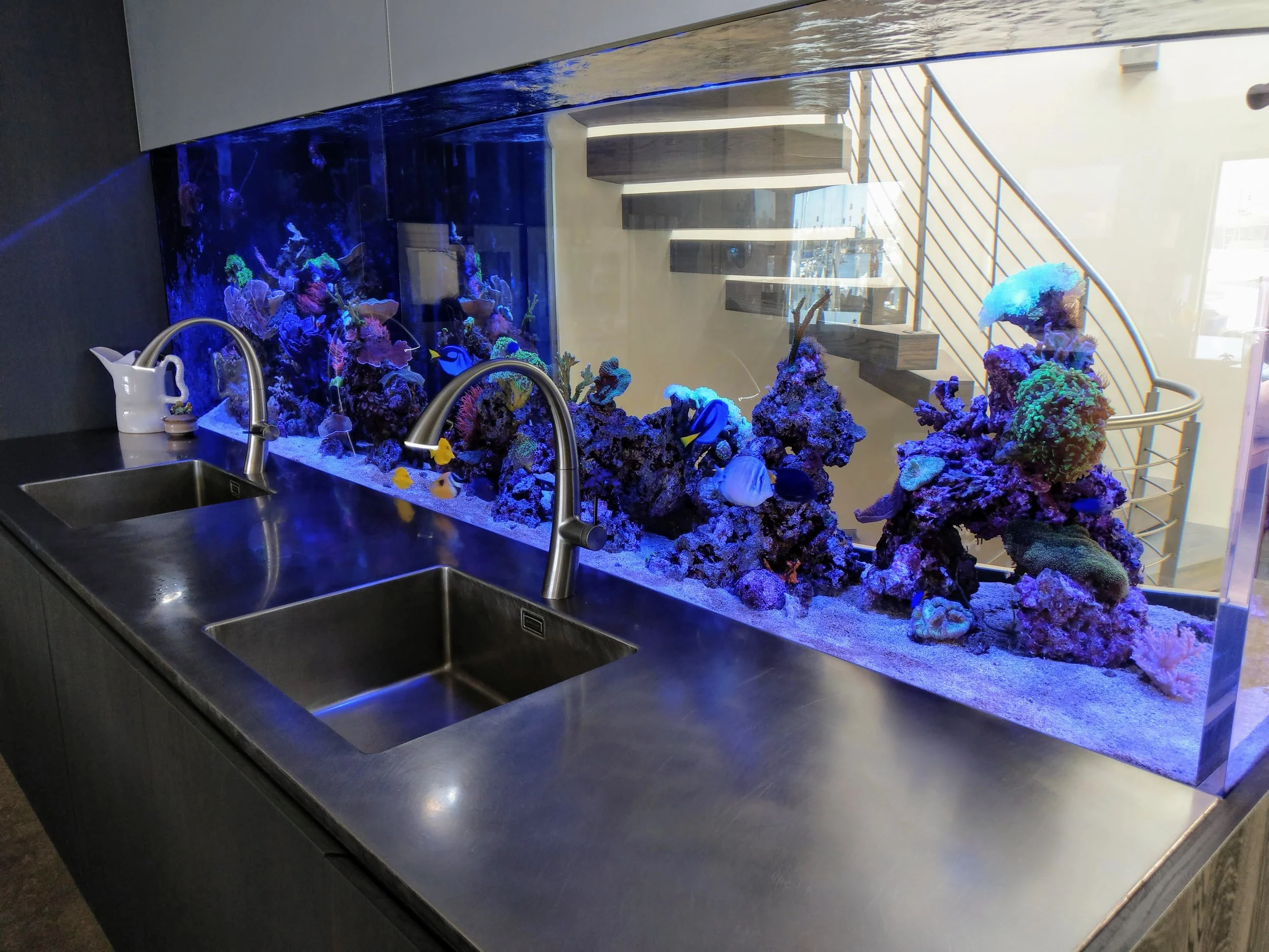 A marine aquarium display with colorful coral and fish, situated above a stainless steel kitchen sink with a modern faucet.