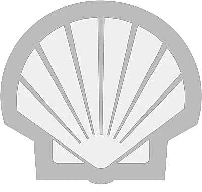 Shell with a fan-like shape divided into segments.