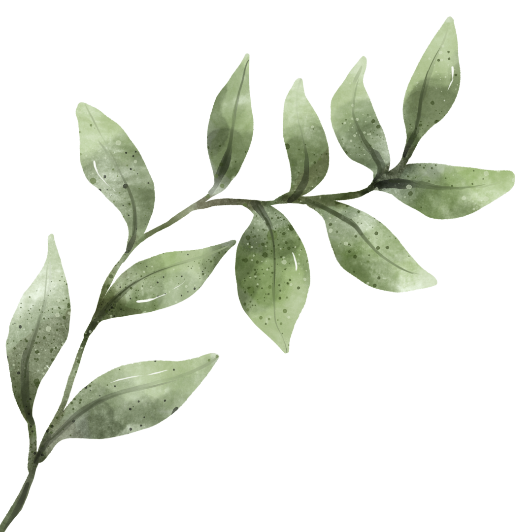 Watercolor illustration of a leafy branch with green leaves.