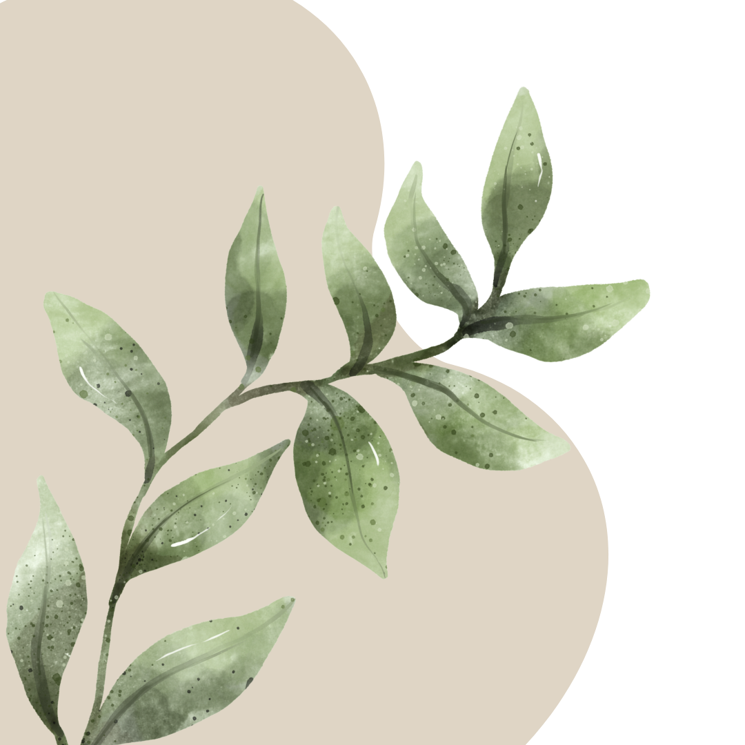 Watercolored illustration of a green leafy branch against a beige background.