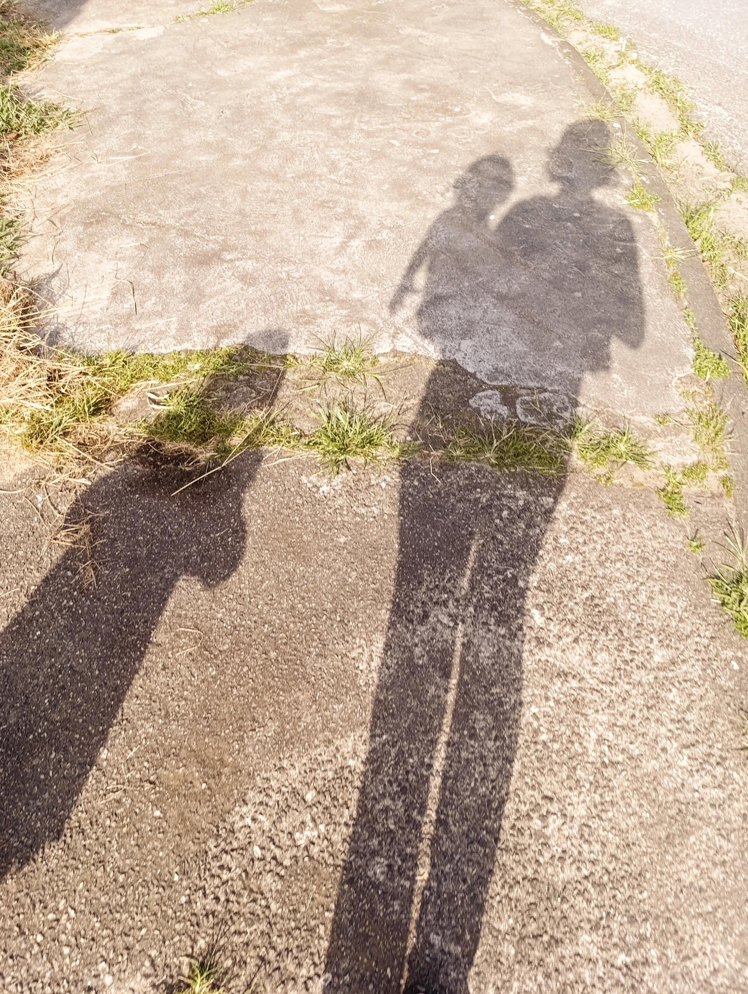 Shadows of two people on a concrete sidewalk with grass and plants on the edges.