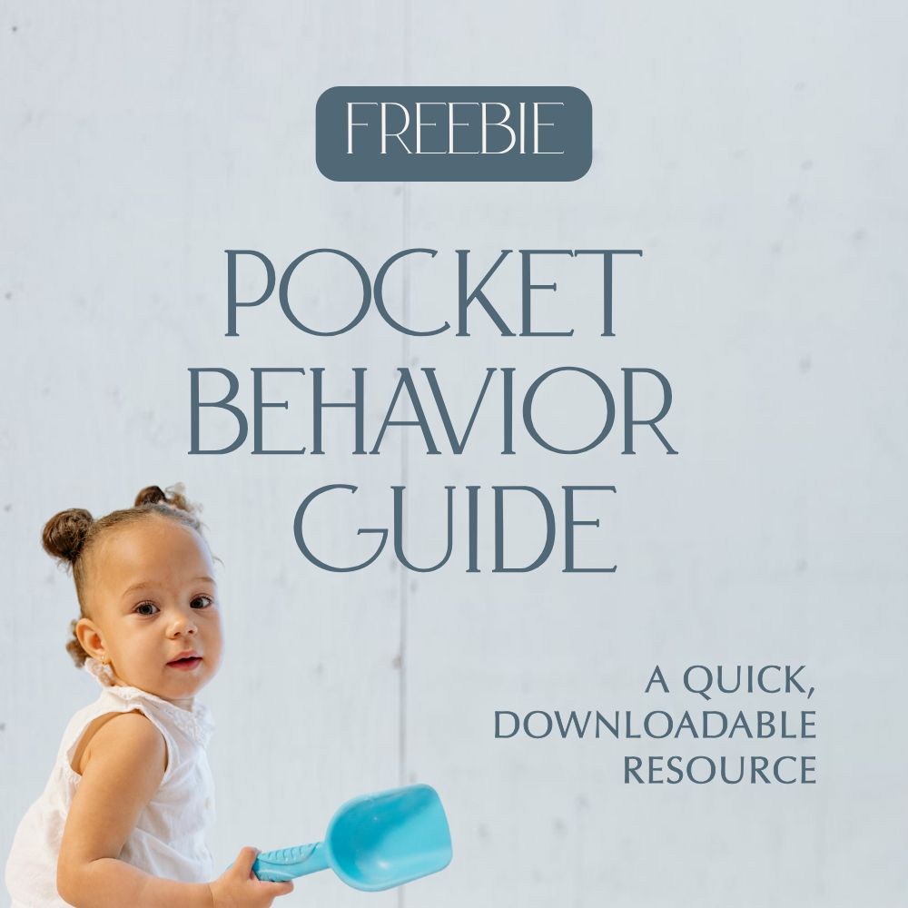 Pocket Behavior Guide Freebie
