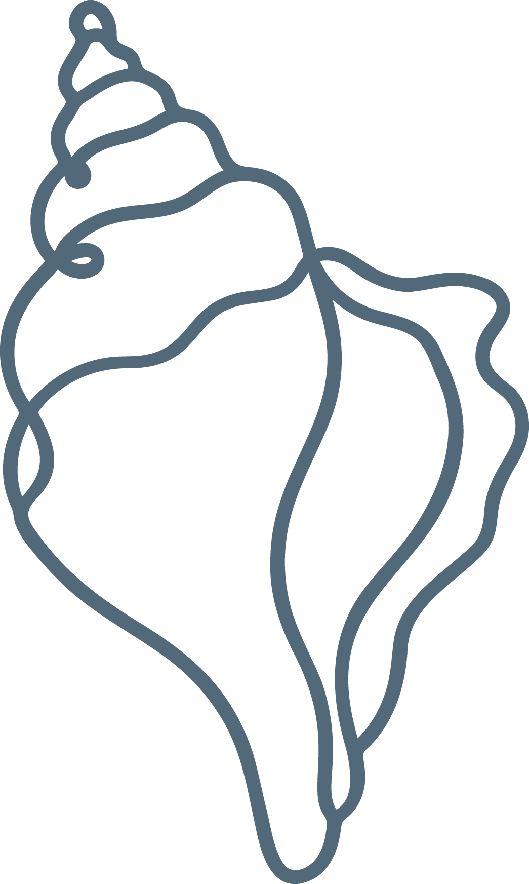 Outline drawing of a human heart with a minimalist style.