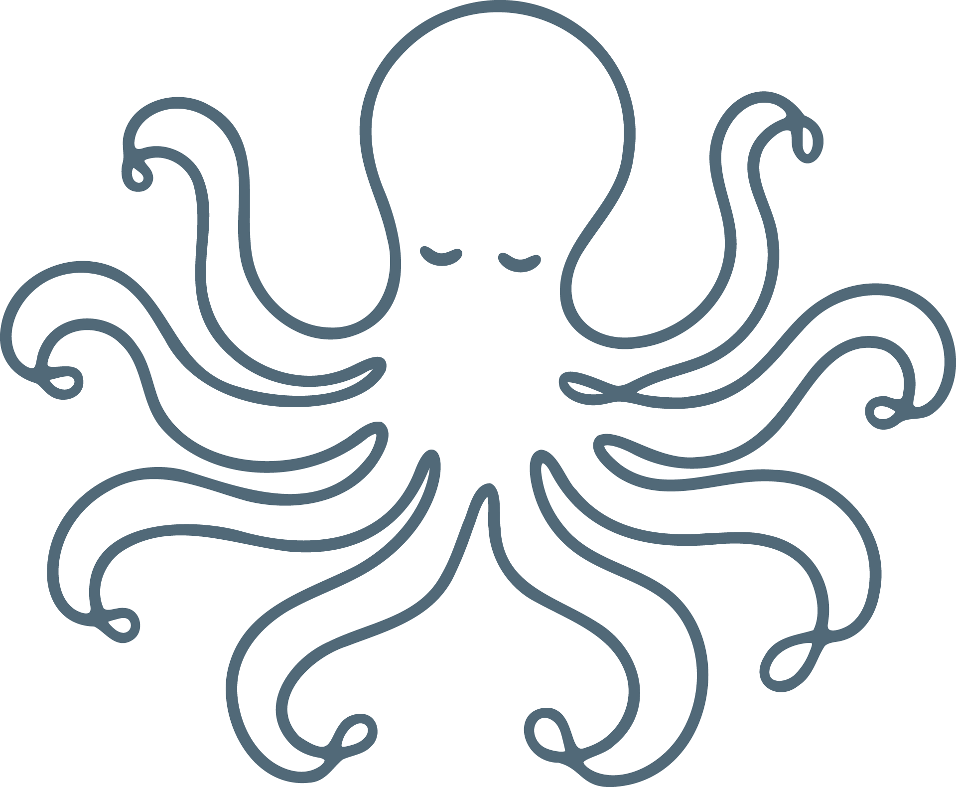 An outline drawing of an octopus with curved tentacles and a rounded head.