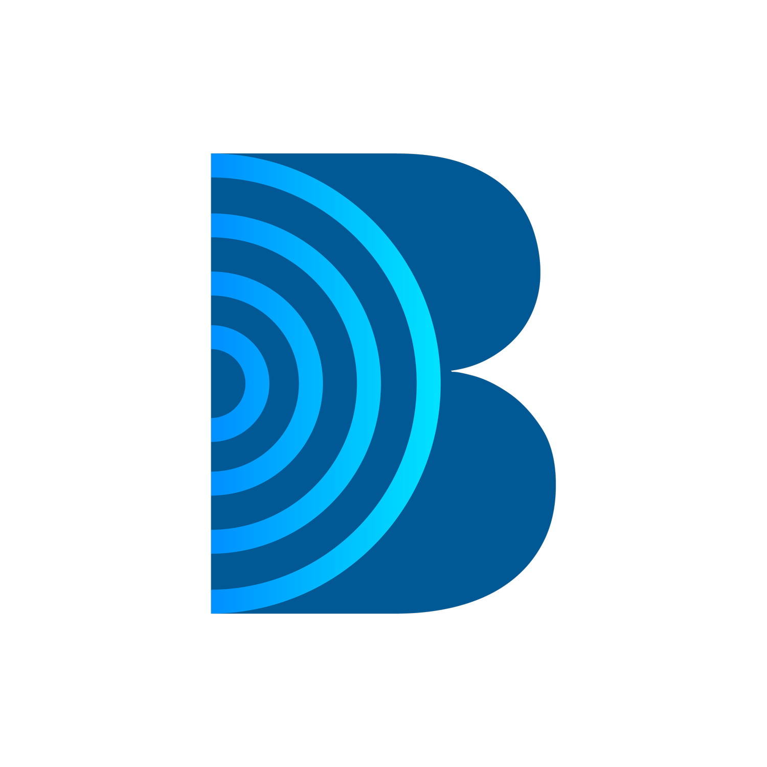 Blu Media Connect