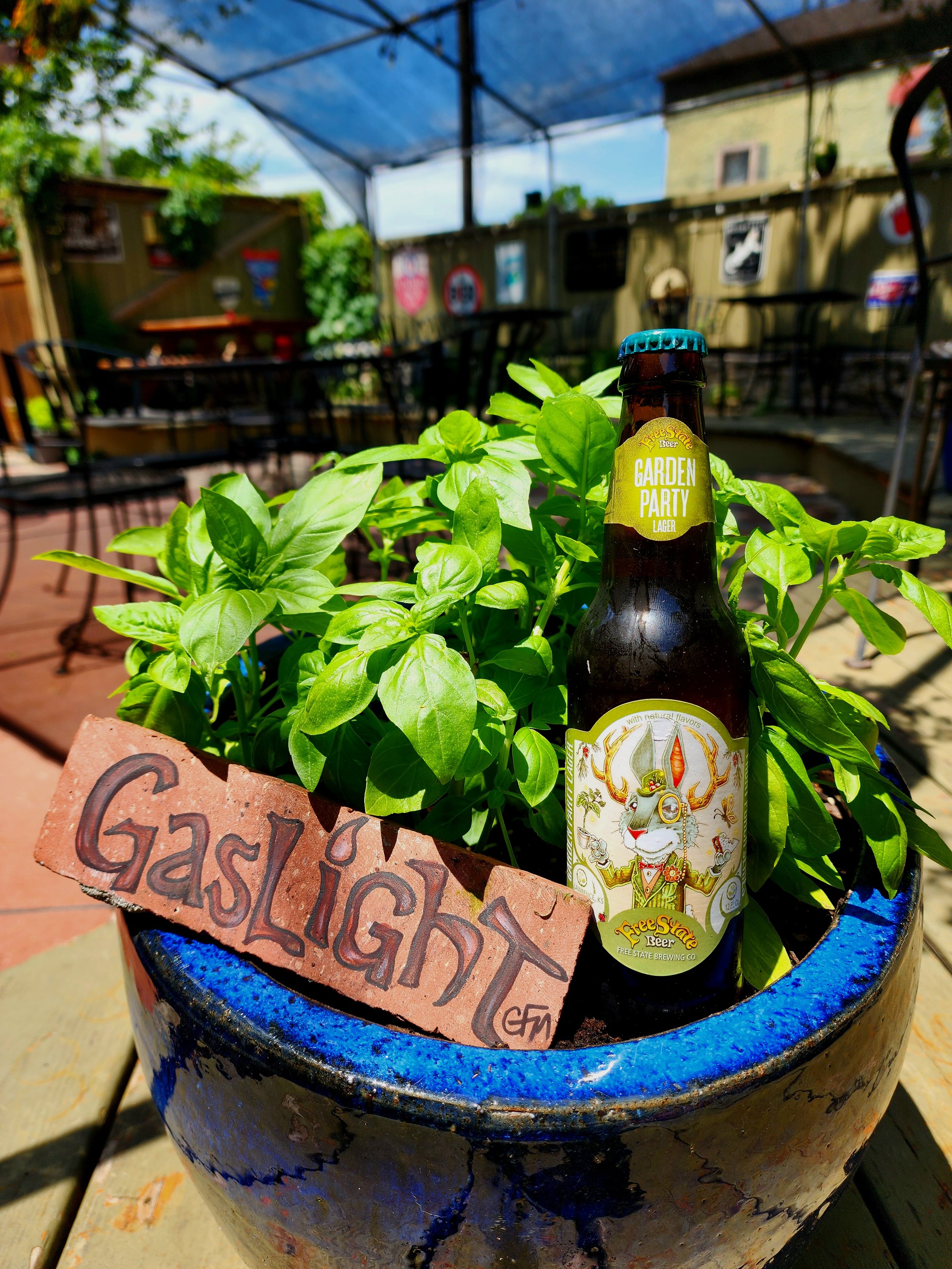 A brown glass bottle of Freestate Brewing Garden Party beer with Gaslight Plaque, placed among green basil leaves in a large blue ceramic pot, with a blurred outdoor patio in the background.
