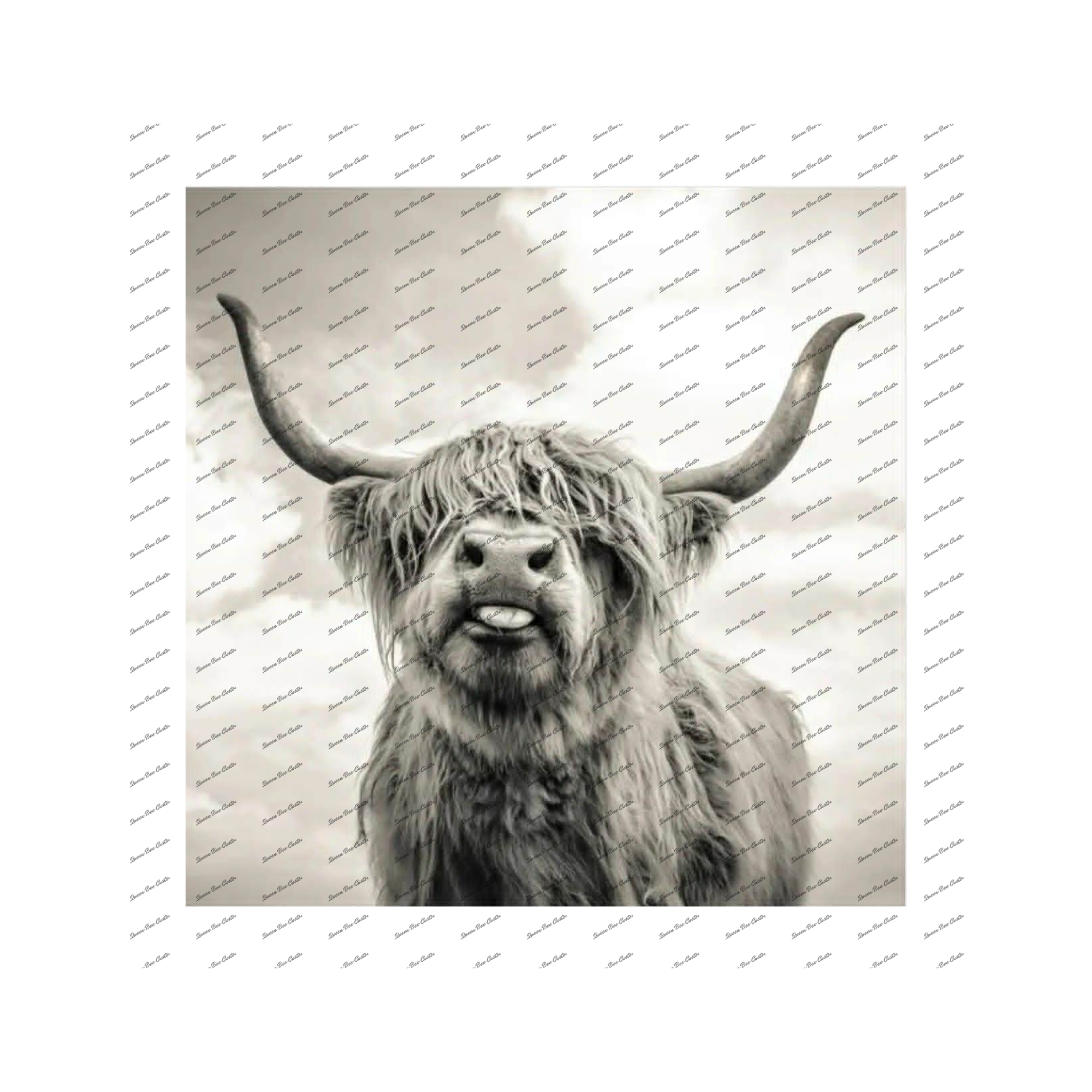 Highland Cow [Black+White]