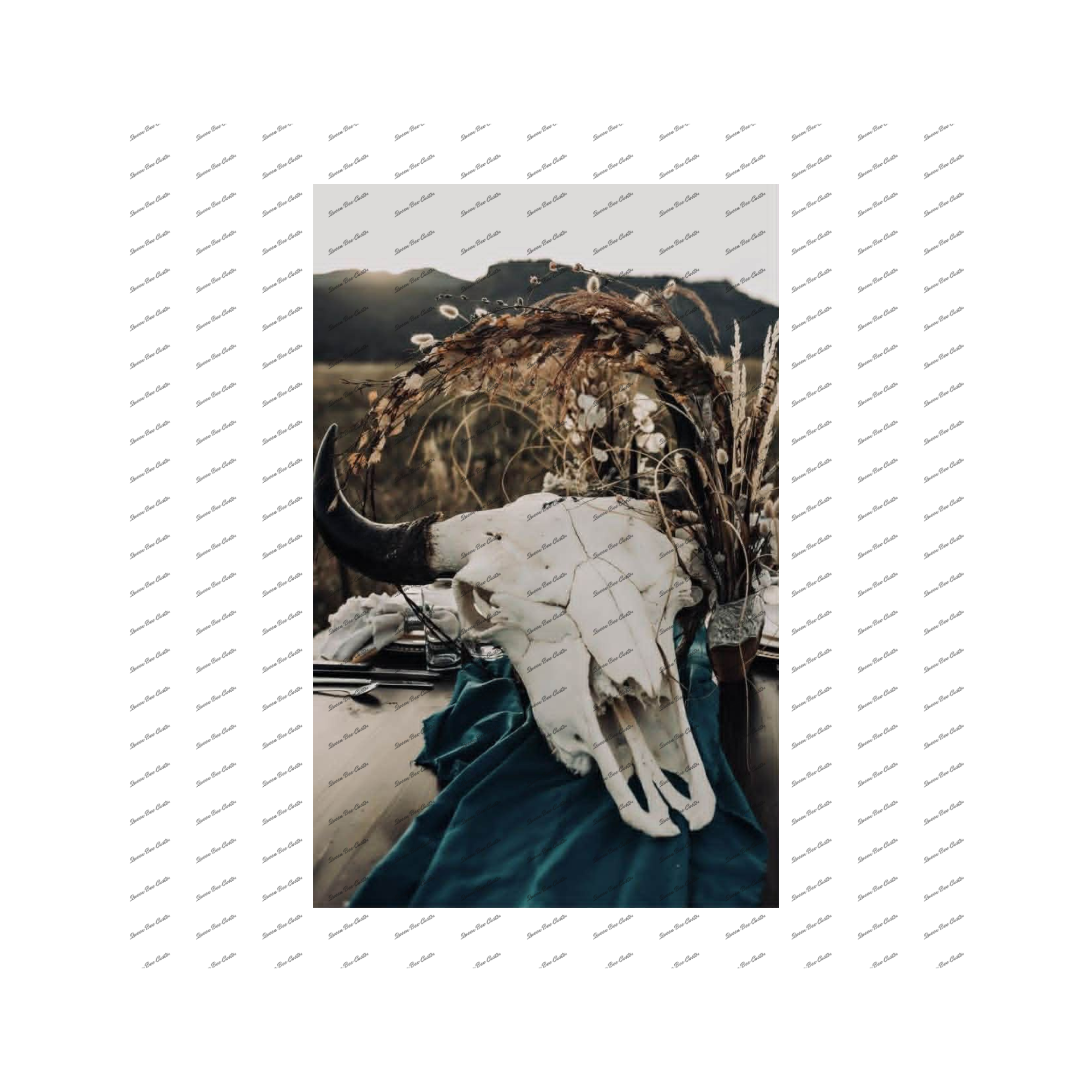 Highland Cow Skull Photo