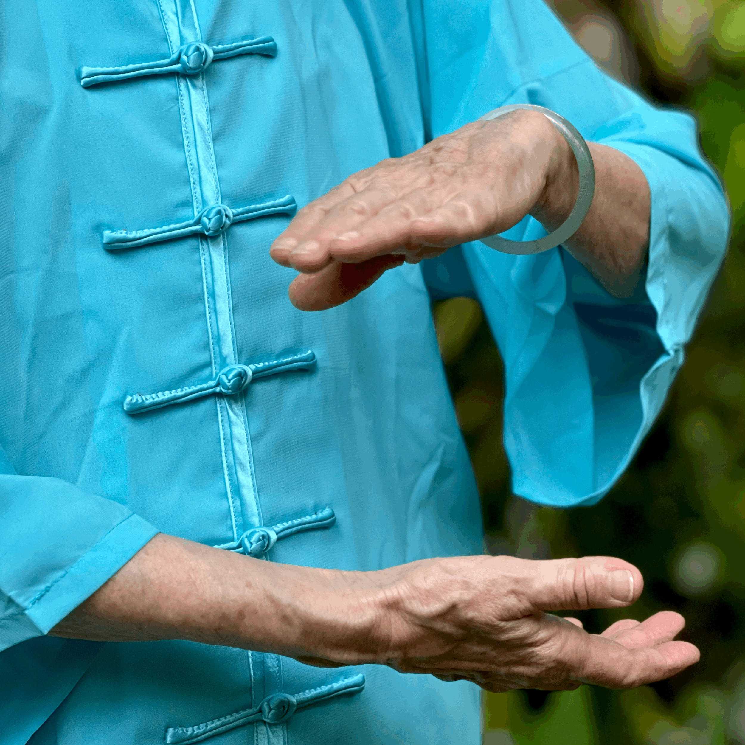 Tai Chi in the Garden (Wednesdays) 