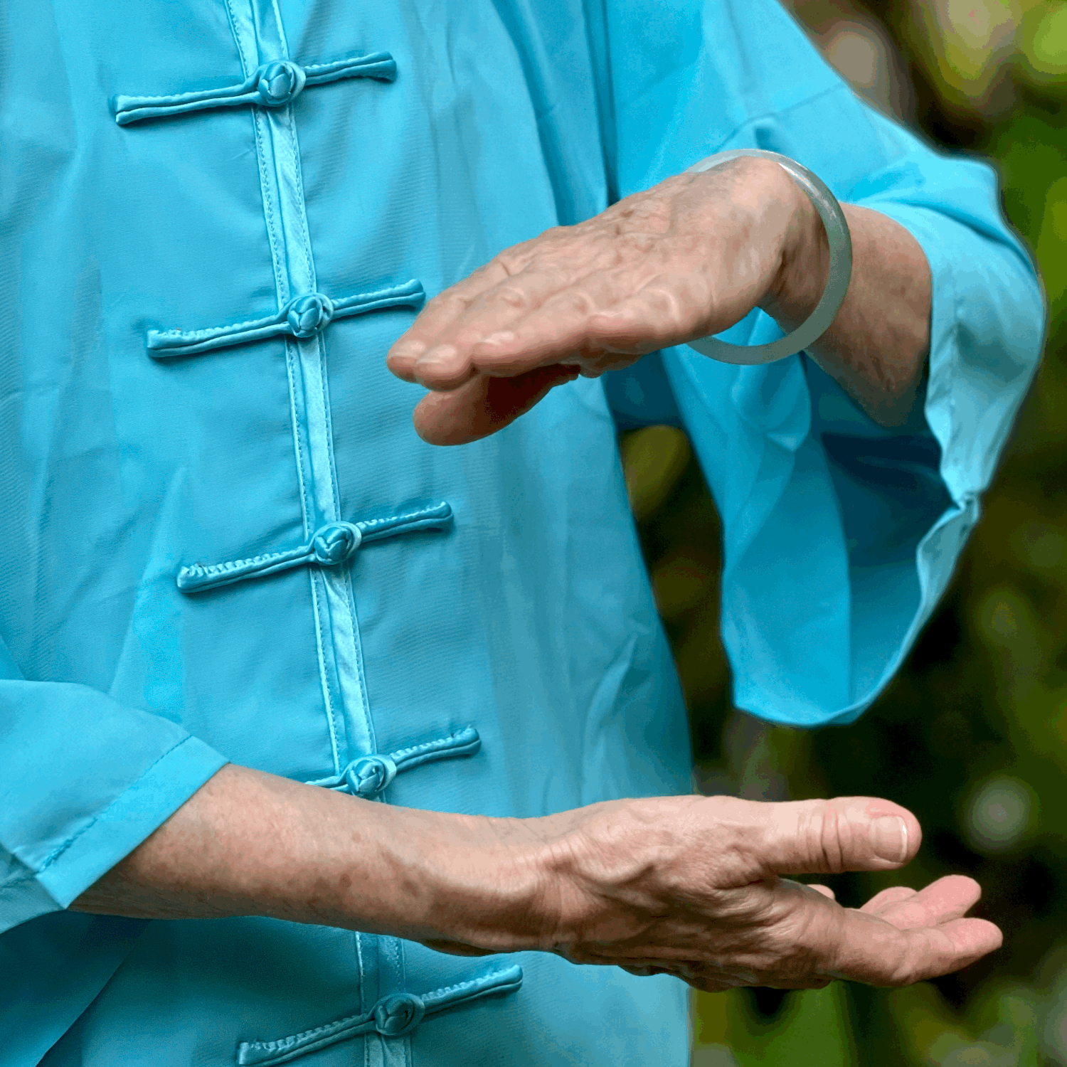Tai Chi in the Garden (Wednesdays) 