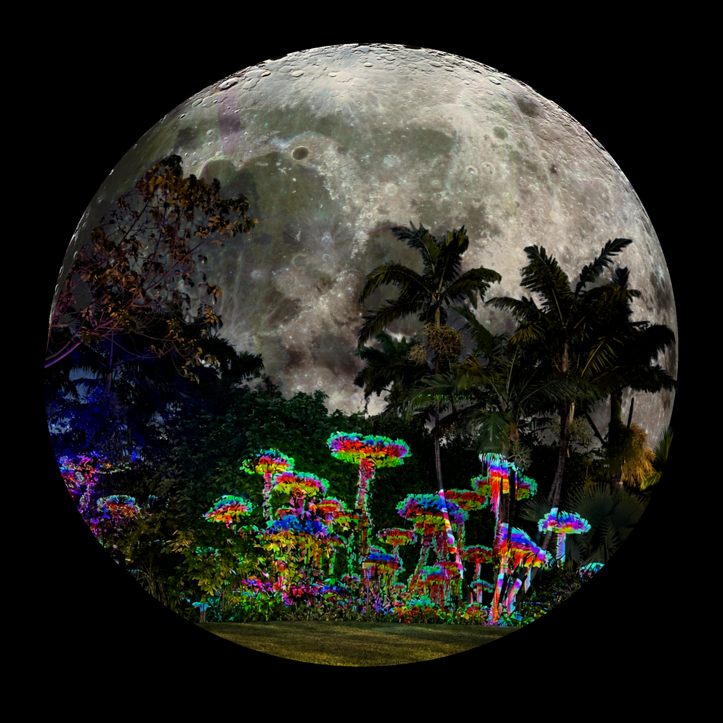 Hunter's Full Moon Sound Bash 