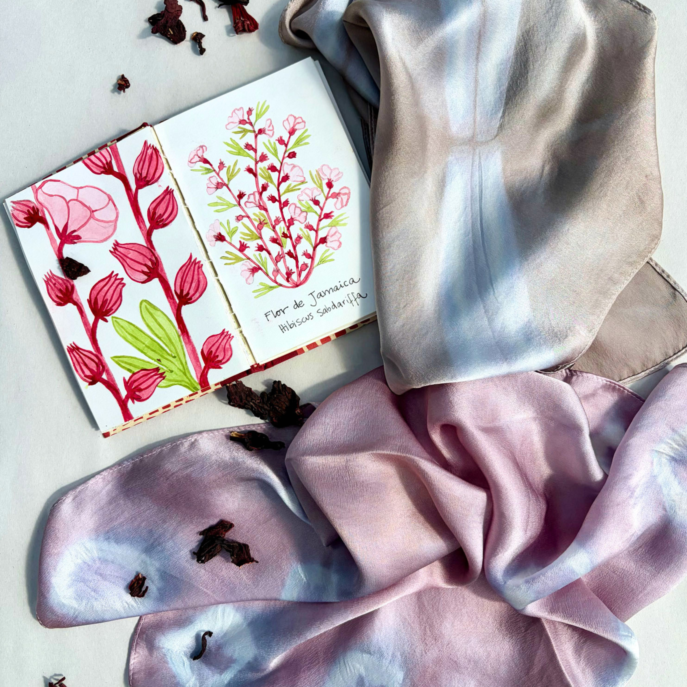 The Color of Hibiscus Natural Dyes Workshop