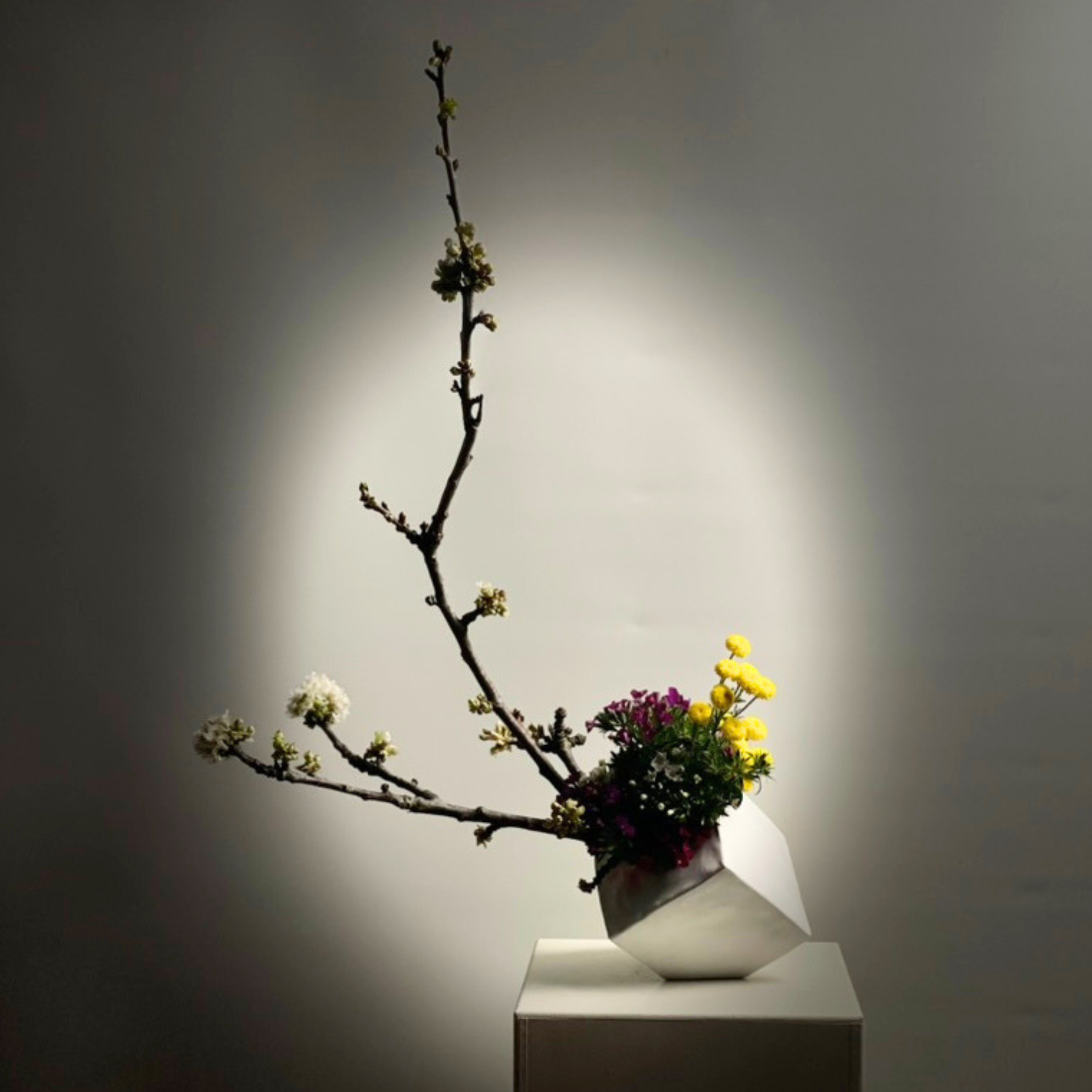 Sogetsu Ikebana Class with Sensei Stephan Eberhagen&nbsp; 