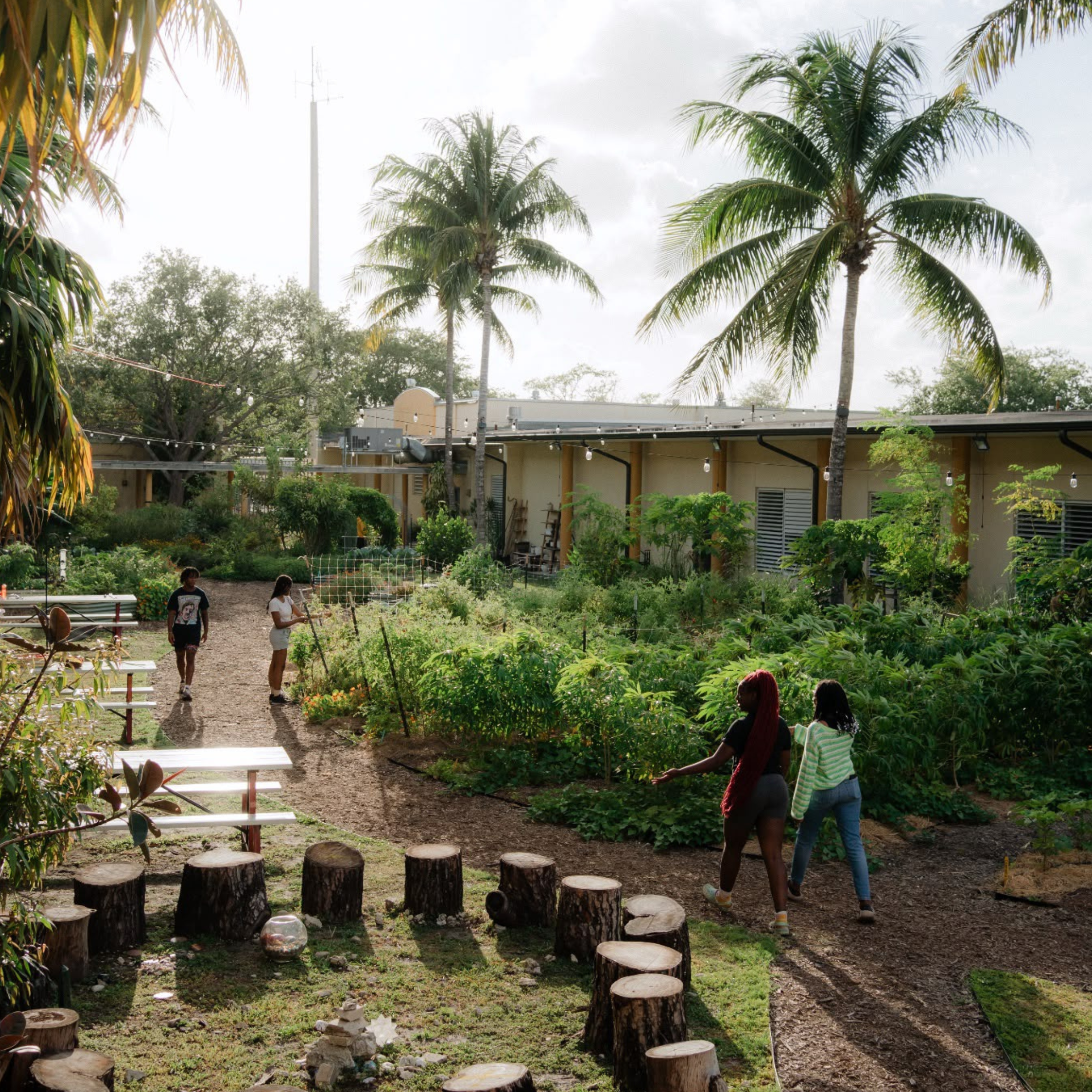 Building a Learning Garden
