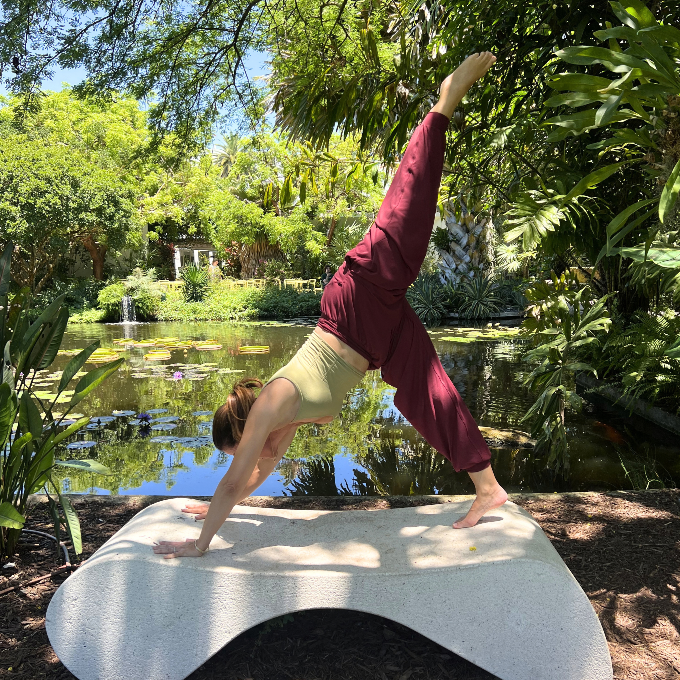Stillness in Motion