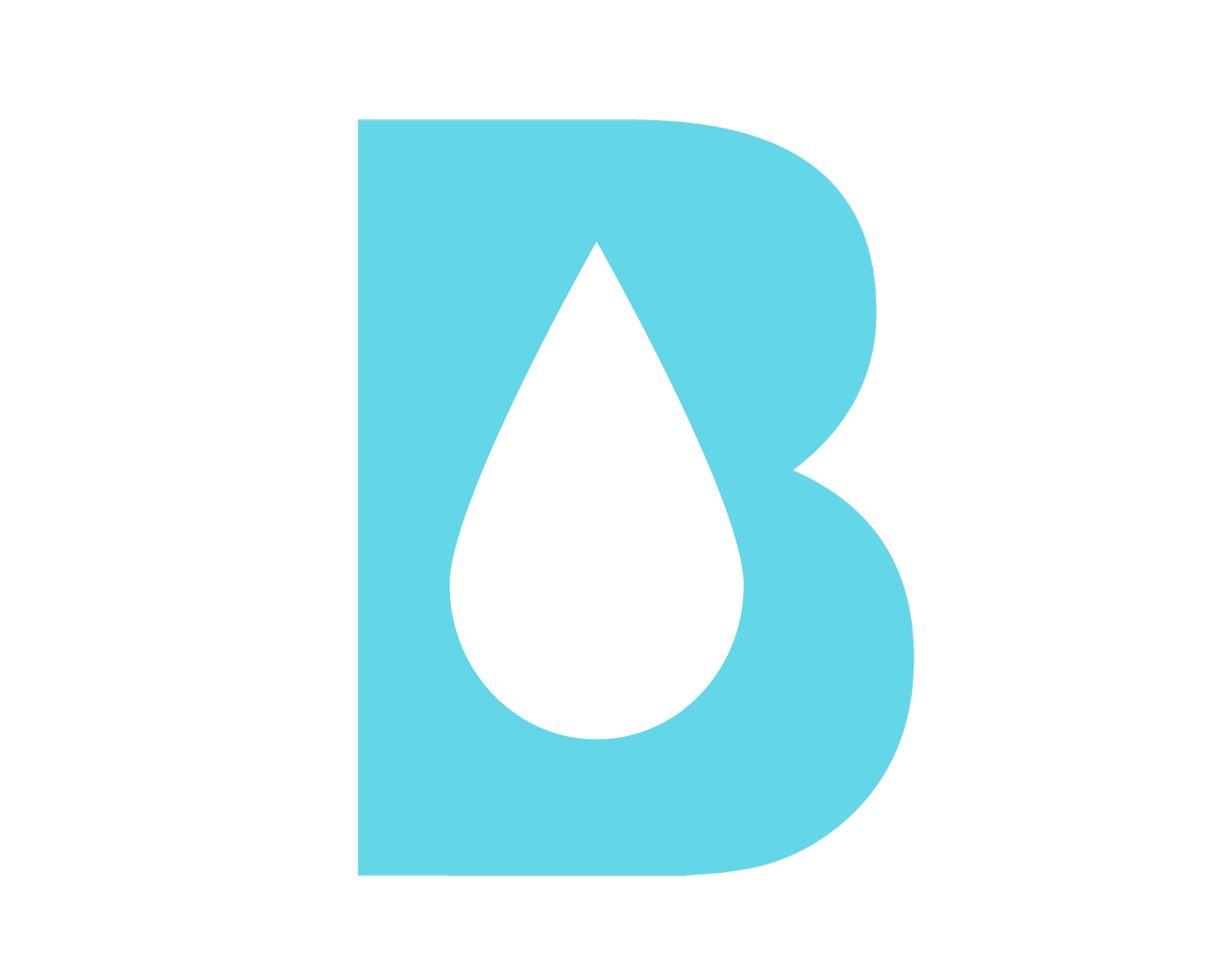 Blisslifestyle + Fitness