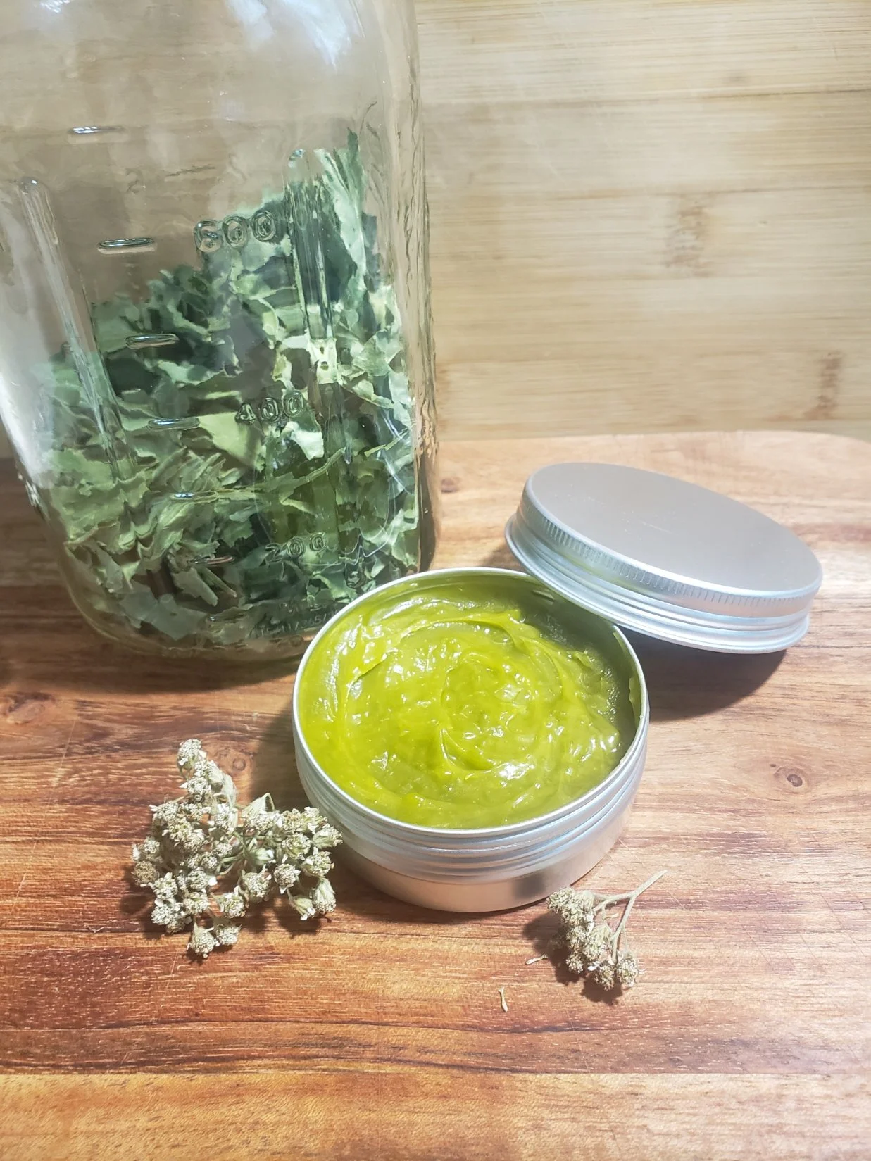 Plantain Salve 2 oz tin