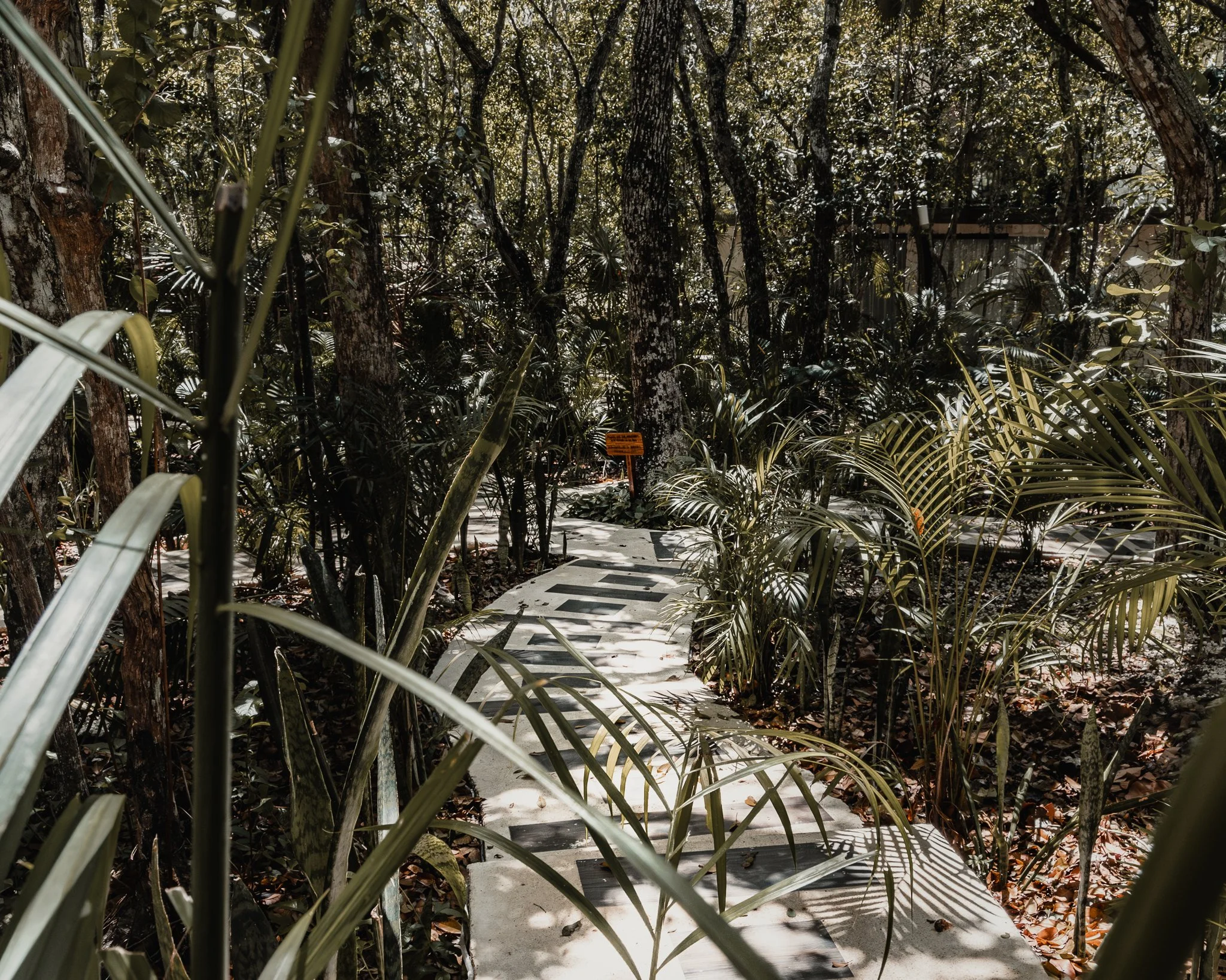 Walkway - Tulum.jpg
