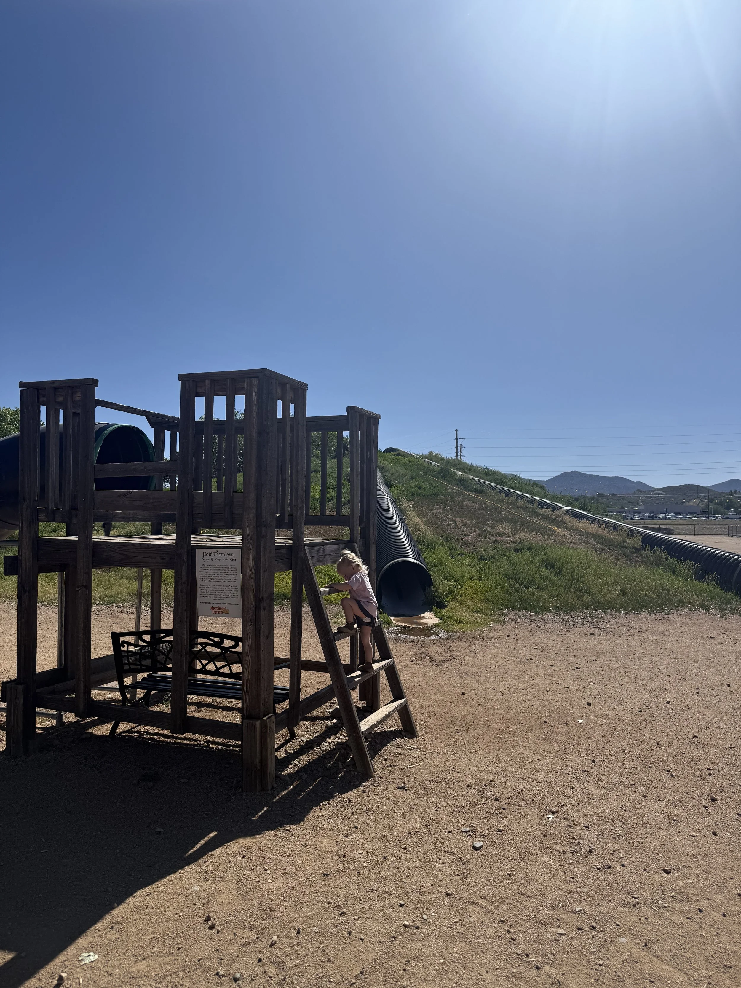 IMG_3752.jpeg