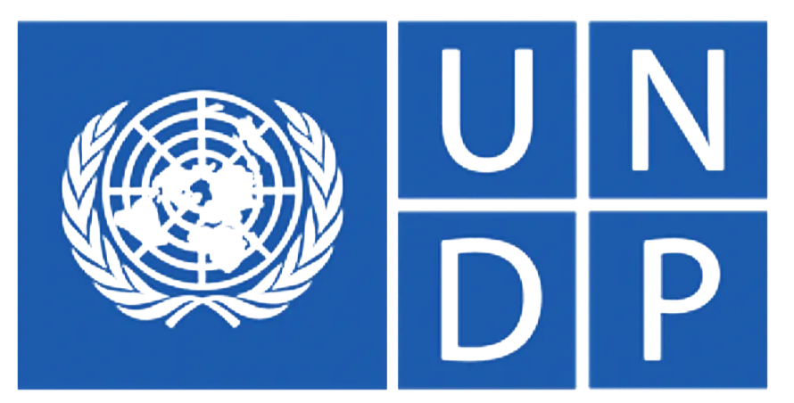 United Nations logo on the left, with the letters U, N, D, P in separate blue squares on the right.