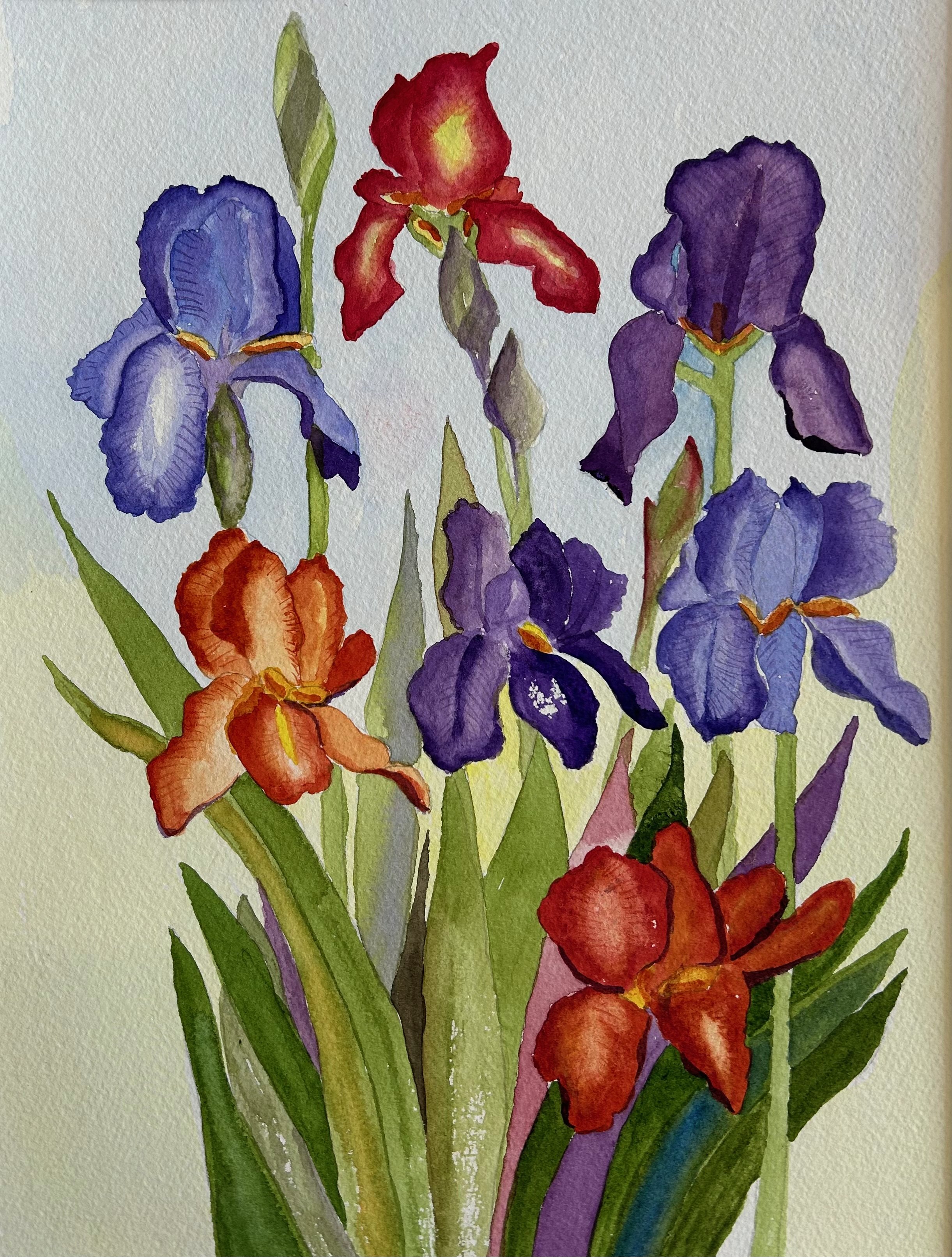 Iris's 2, Original Watercolor on Paper, Size:  15 X 11, Price:  $395,  Print on Paper:  $75