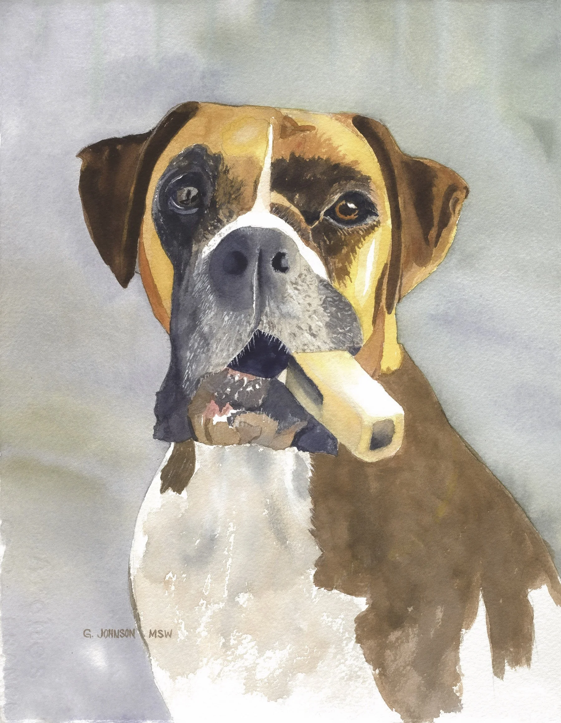 ae 43 Dog Portrait 9.5x12.25.jpg