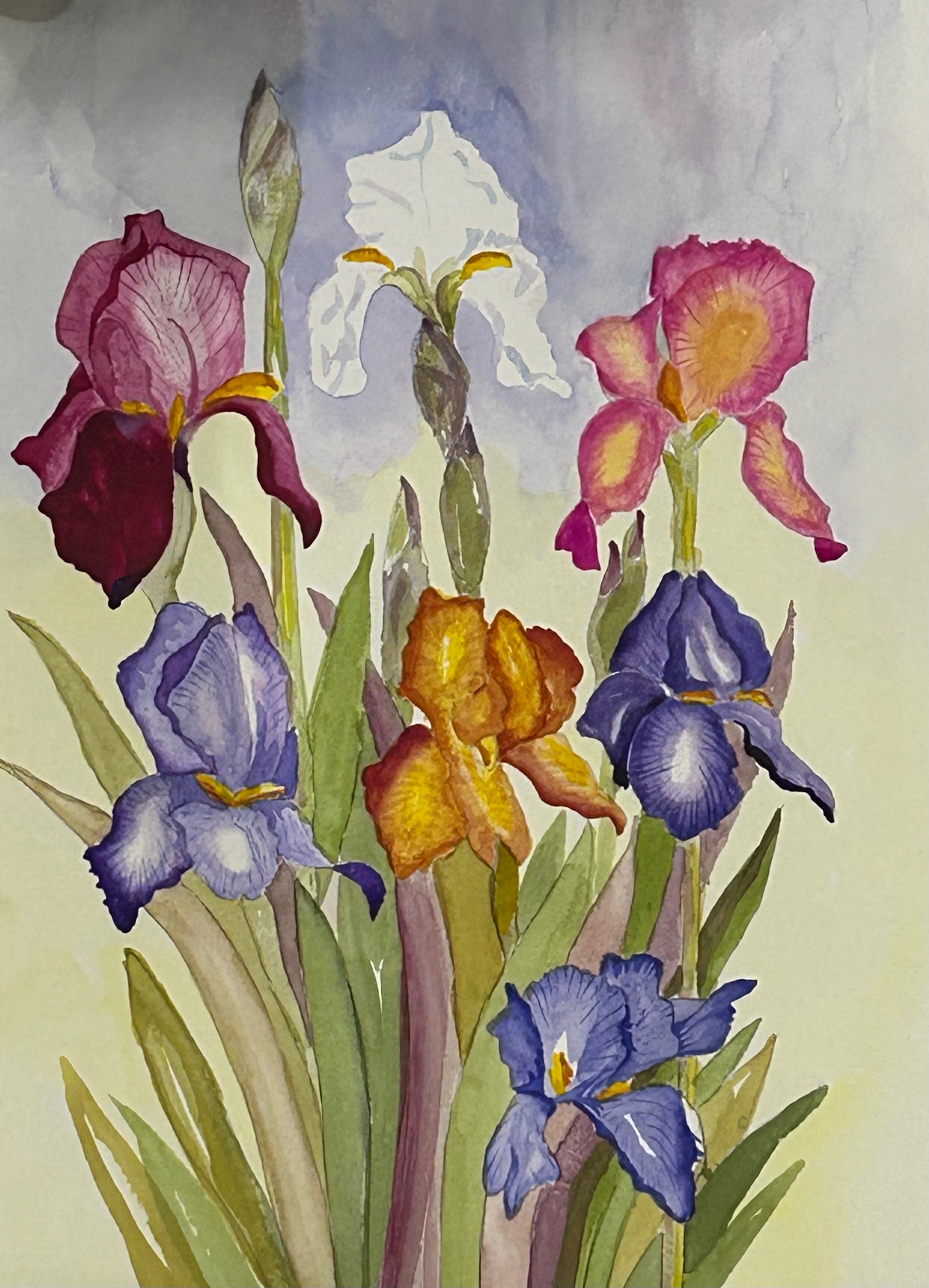 Iris's 3, Original Watercolor on Paper, Size:  15 X 11, Price:  SOLD, Print on Paper:  $75