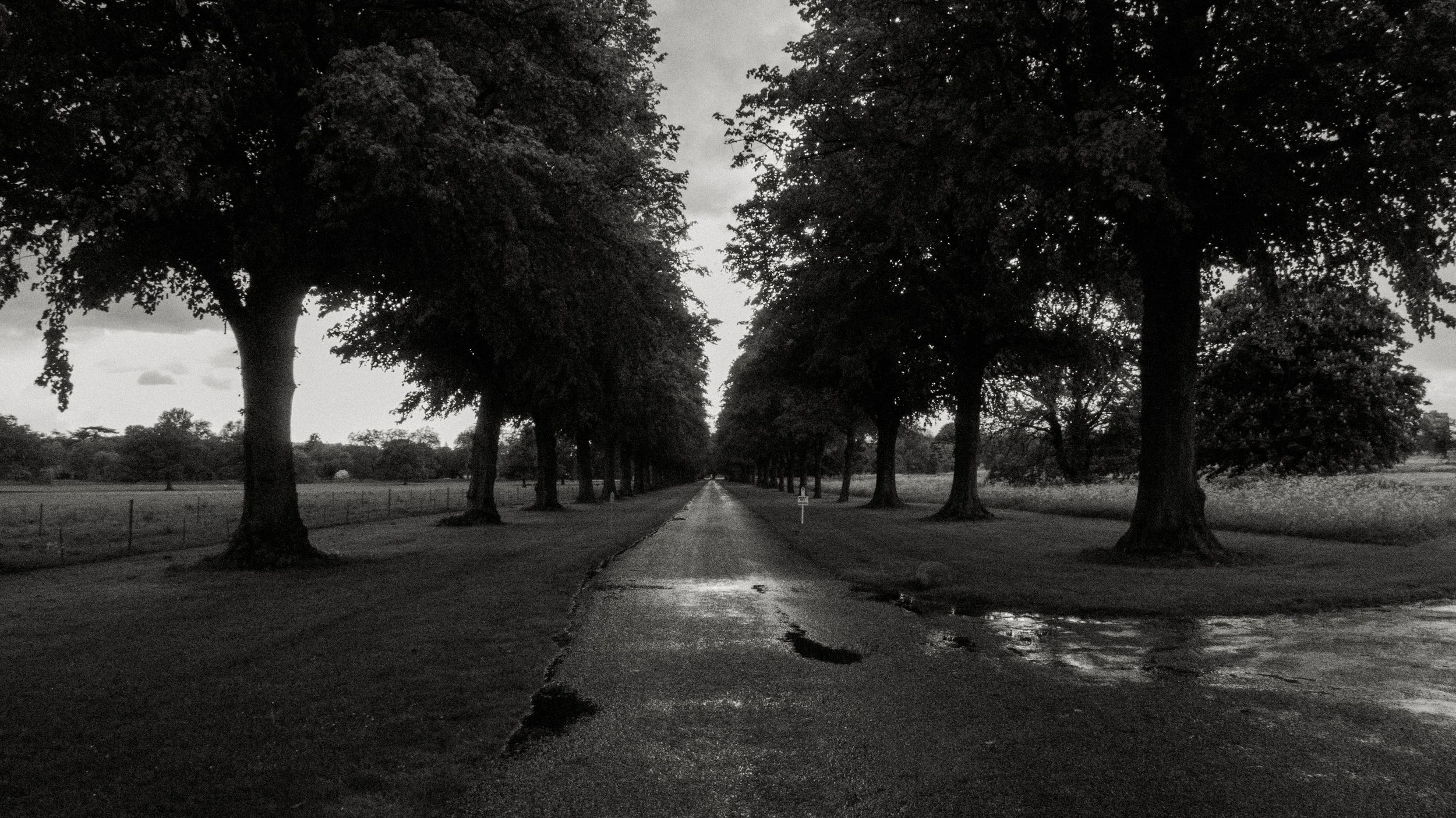 Tree-lined road through the private grounds of Windsor Castle on a rainy day in England.