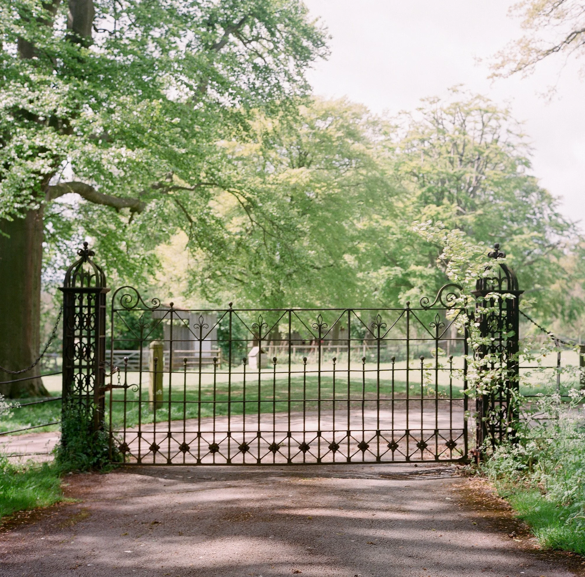 A black iron gate with decorative finials in front of a lush green with tall trees and a gravel pathway on the grounds of Chateau St. Julien, Poitiers, France.