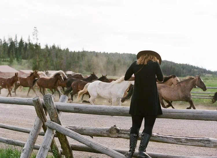 A woman wearing a black coat and boots stands by a wooden fence, watching a herd of horses run on a dirt track with trees in the background.