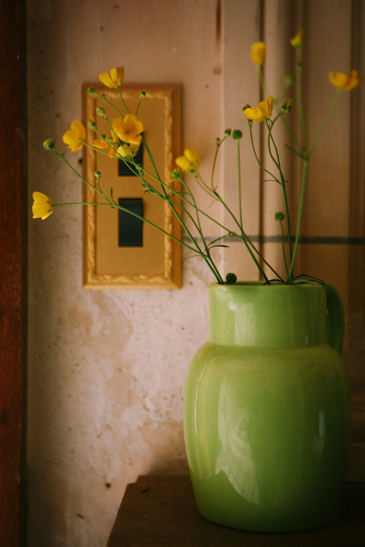 Interior detail at Chateau St. Julien, Poitiers, France. A green vase with yellow flowers on a wooden surface, with a wall and a historic plaster wall / antique light switch in the background.