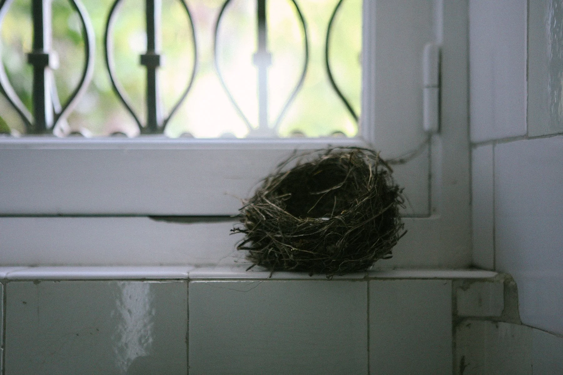 A bird's nest sits on a windowsill of a white tiled wall near a black metal window grate, with a blurred green outdoor background - interior architectural image inside of Chateau St. Julien, Poitiers, France..