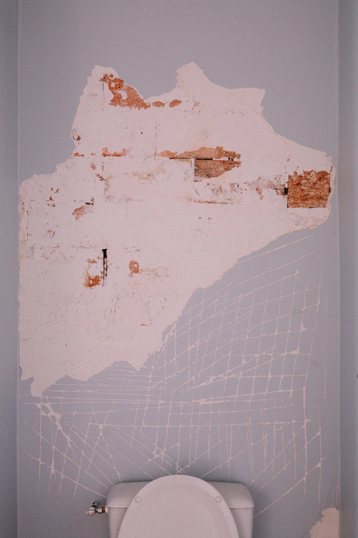 Architectural photograph of a bathroom wall at Chateau St. Julien, Poitiers, France, with a large peeling section revealing exposed brick underneath. Part of a toilet is visible at the bottom of the image.