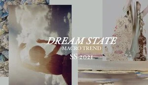 DREAM STATE