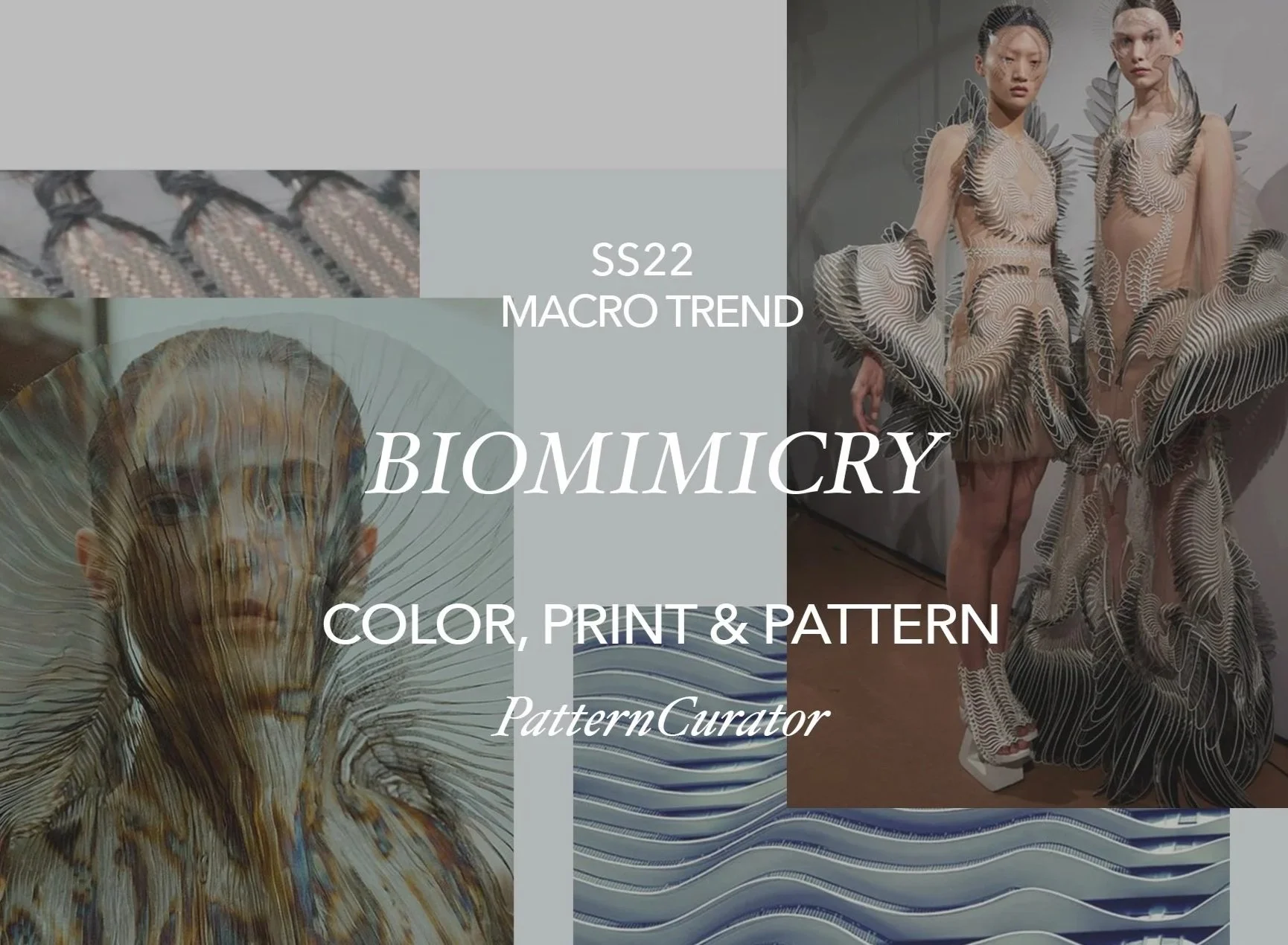 BIOMIMICRY